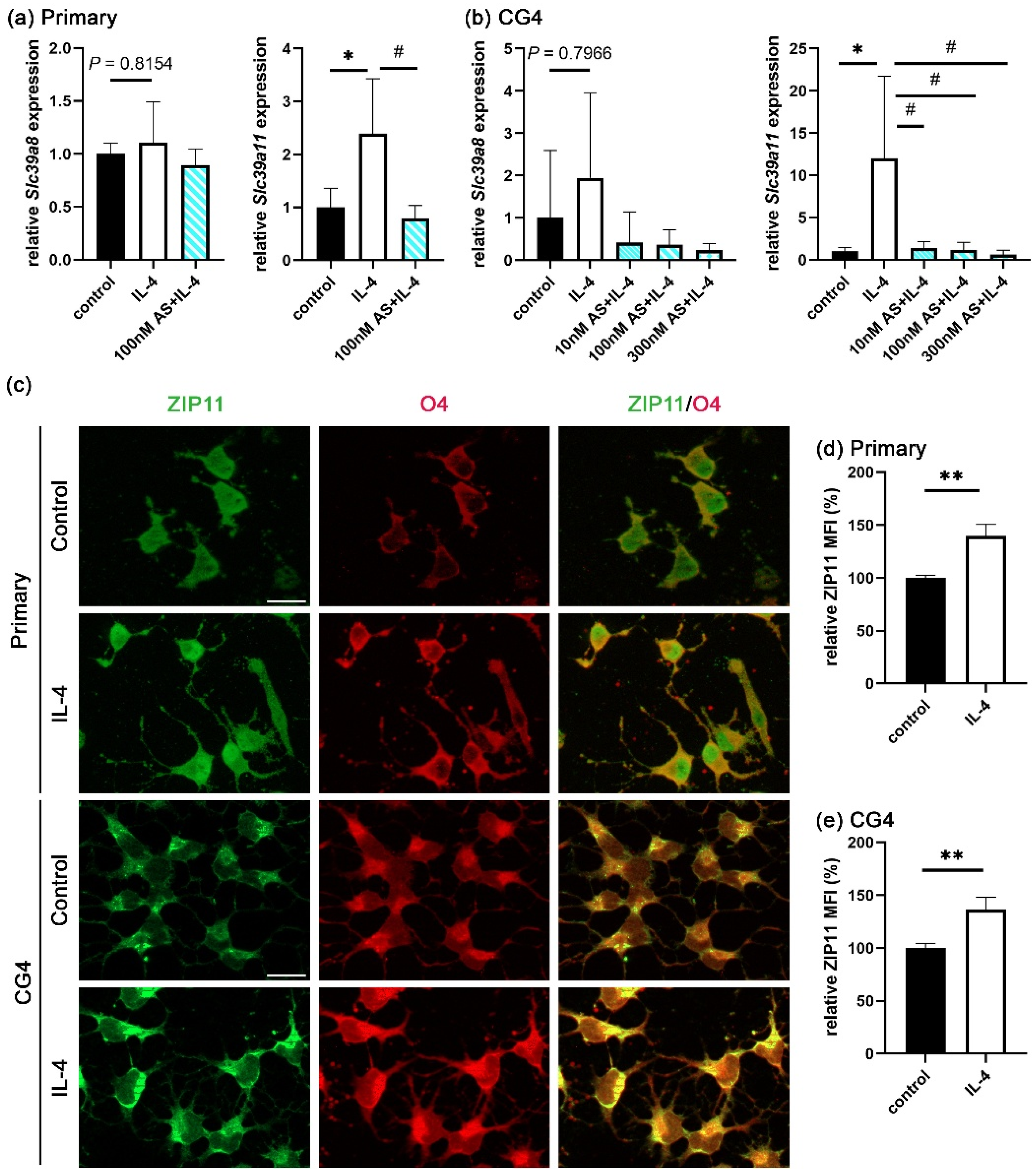 Cells 14 01756 g005 Cells 14 01756 g005