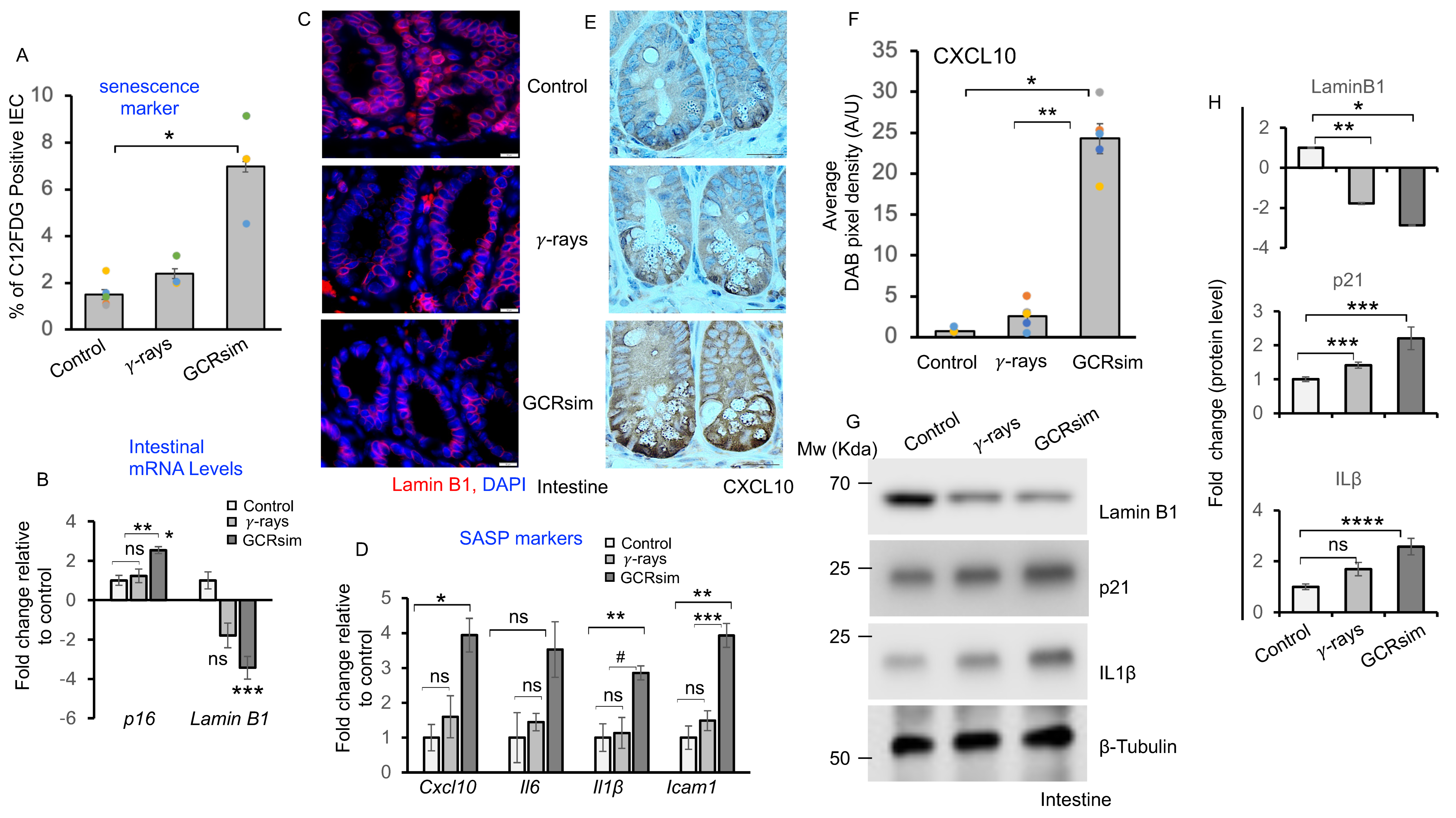 Cells 14 01767 g002 Cells 14 01767 g002