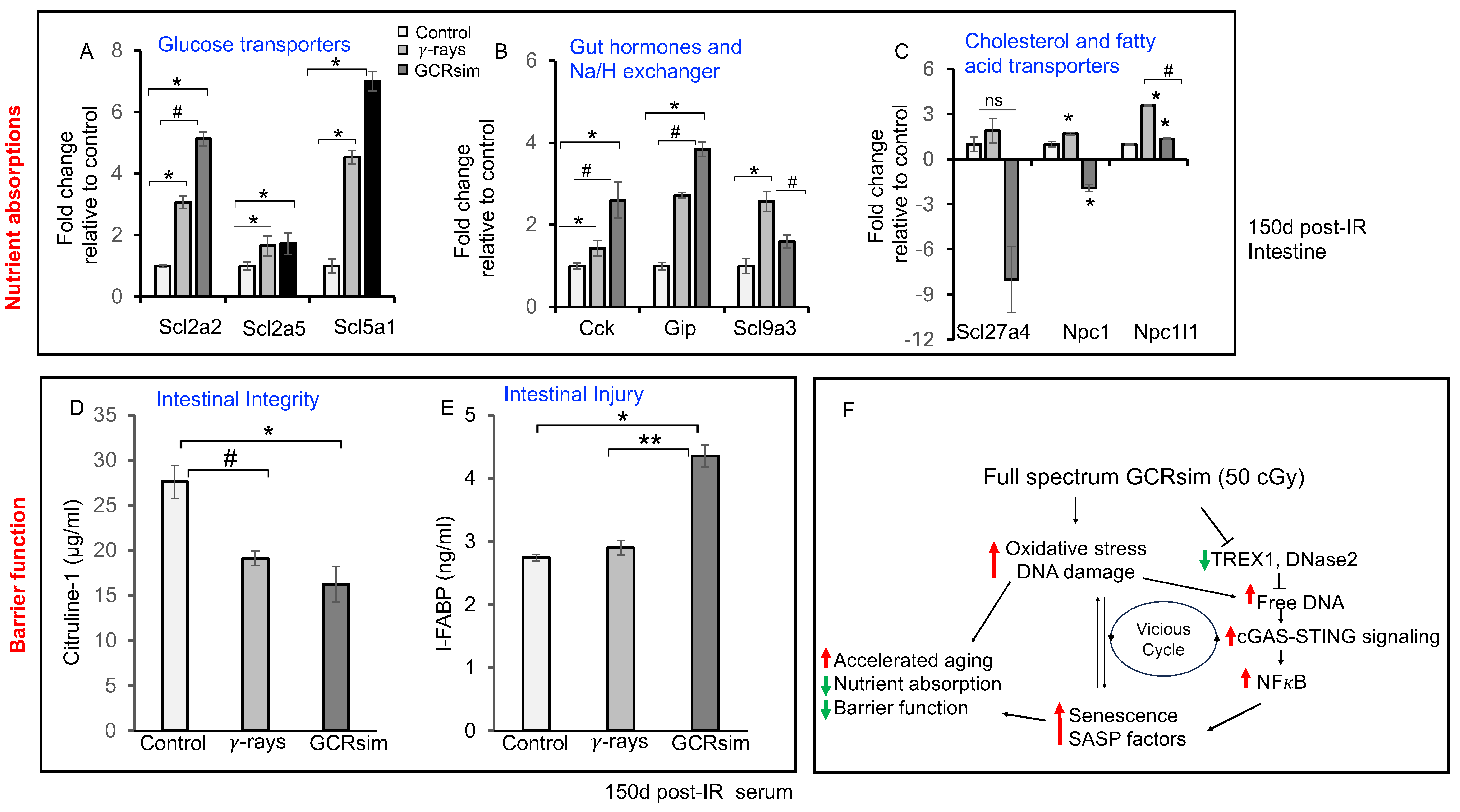 Cells 14 01767 g006 Cells 14 01767 g006