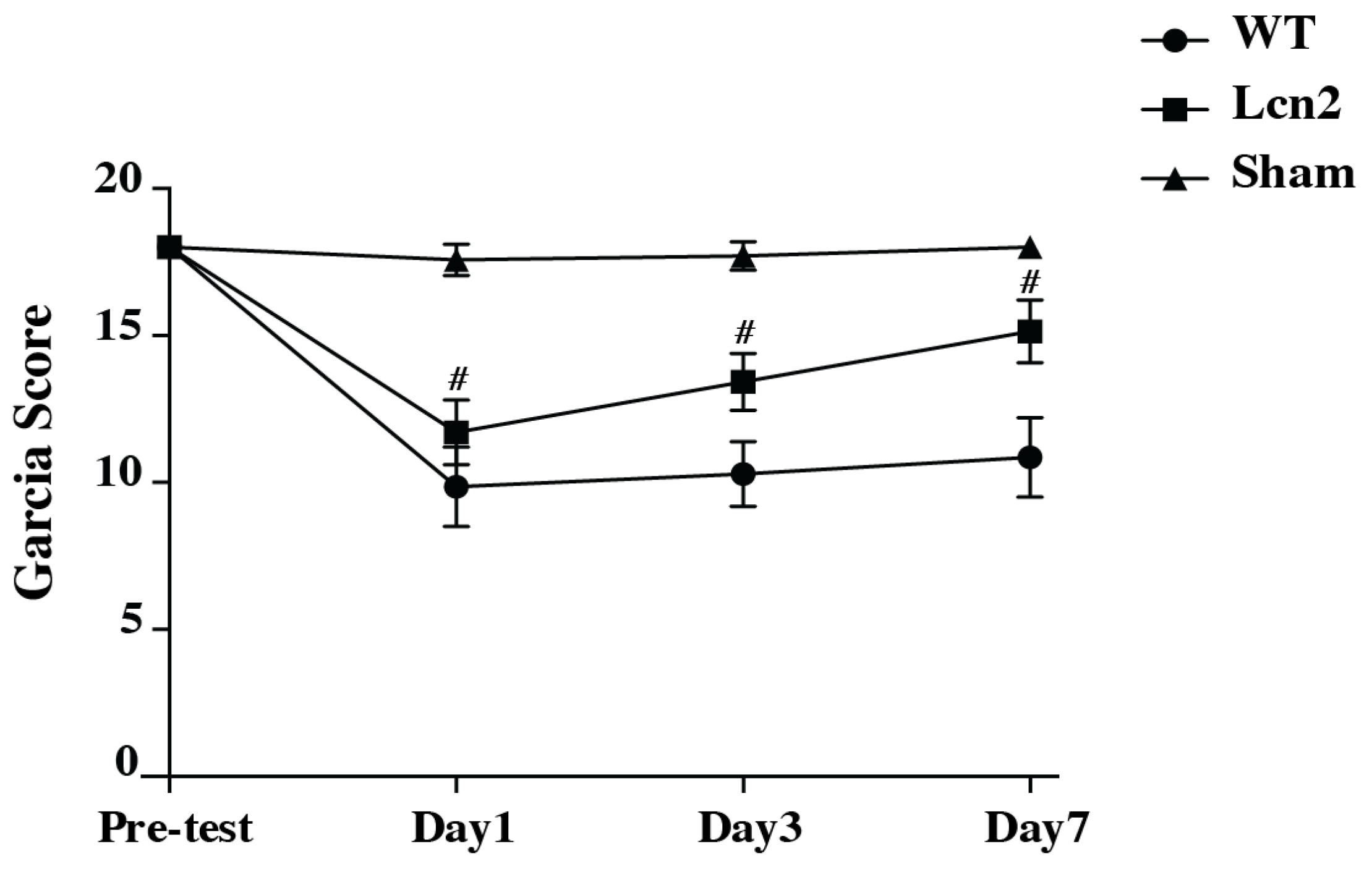 Cells 14 01770 g005 Cells 14 01770 g005