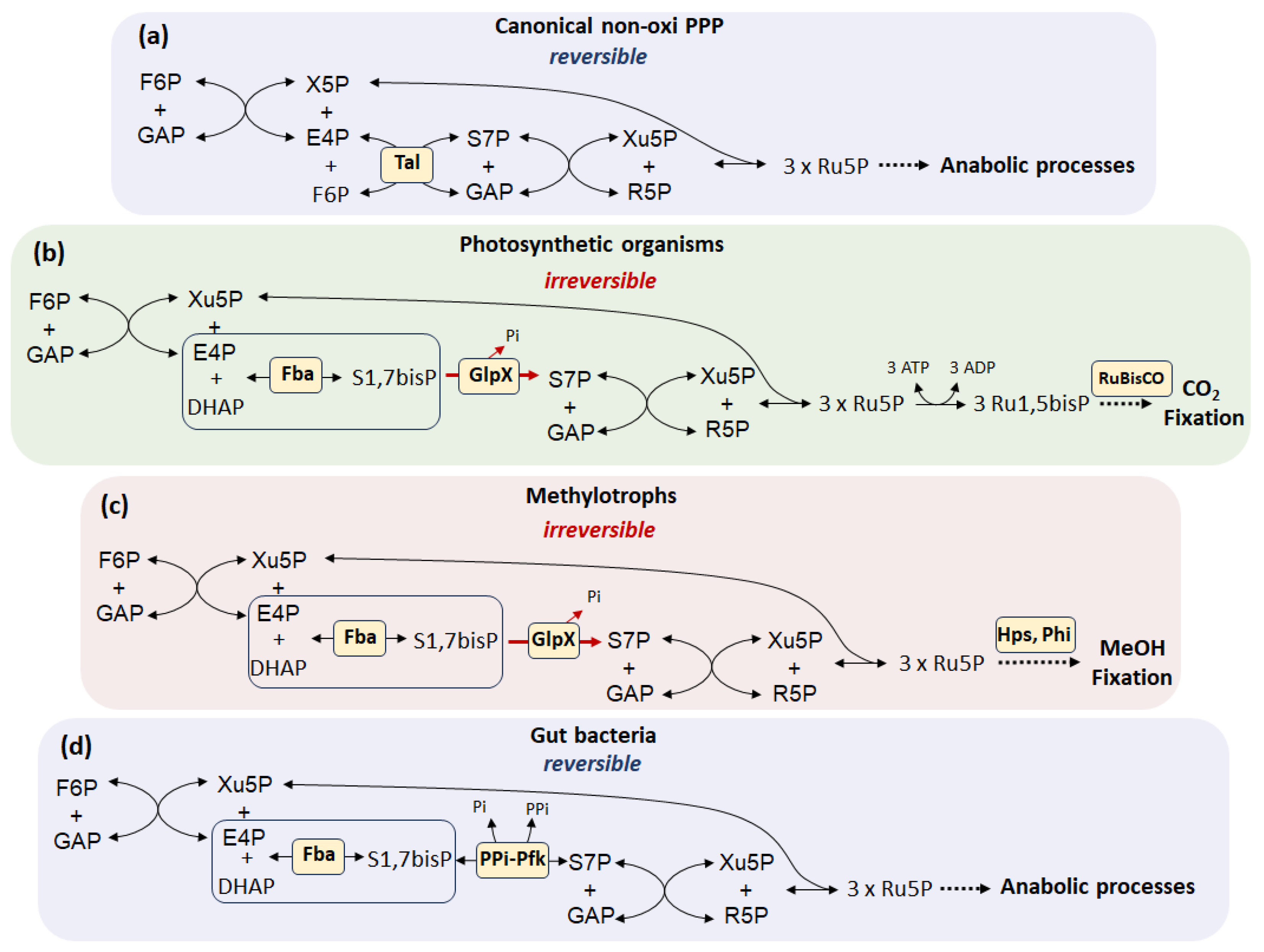 Cells 14 01775 g002 Cells 14 01775 g002