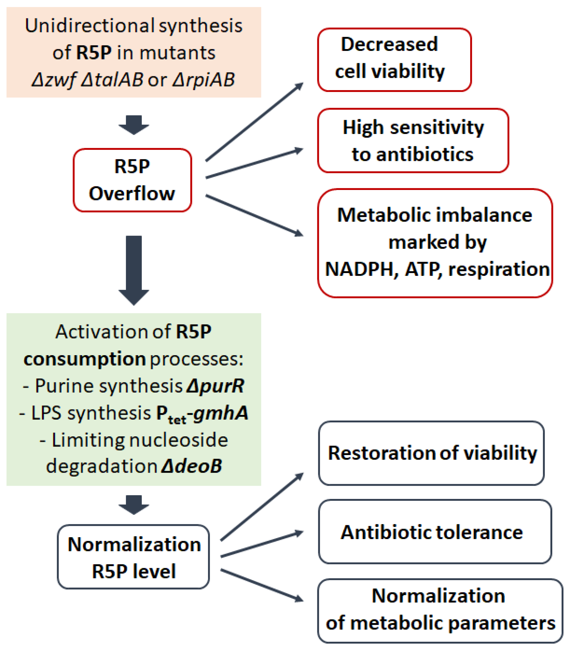 Cells 14 01775 g004 Cells 14 01775 g004