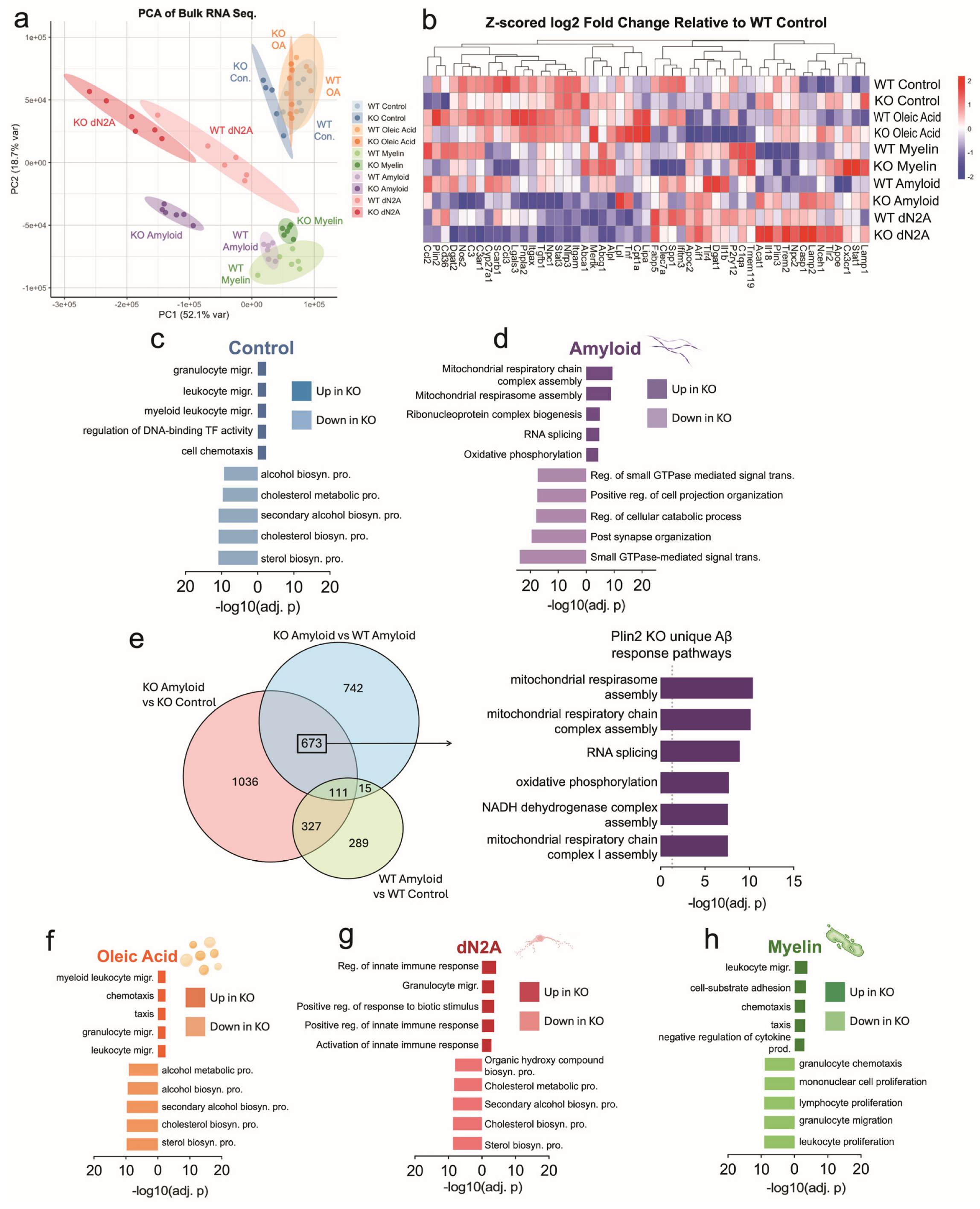 Cells 14 01783 g003 Cells 14 01783 g003