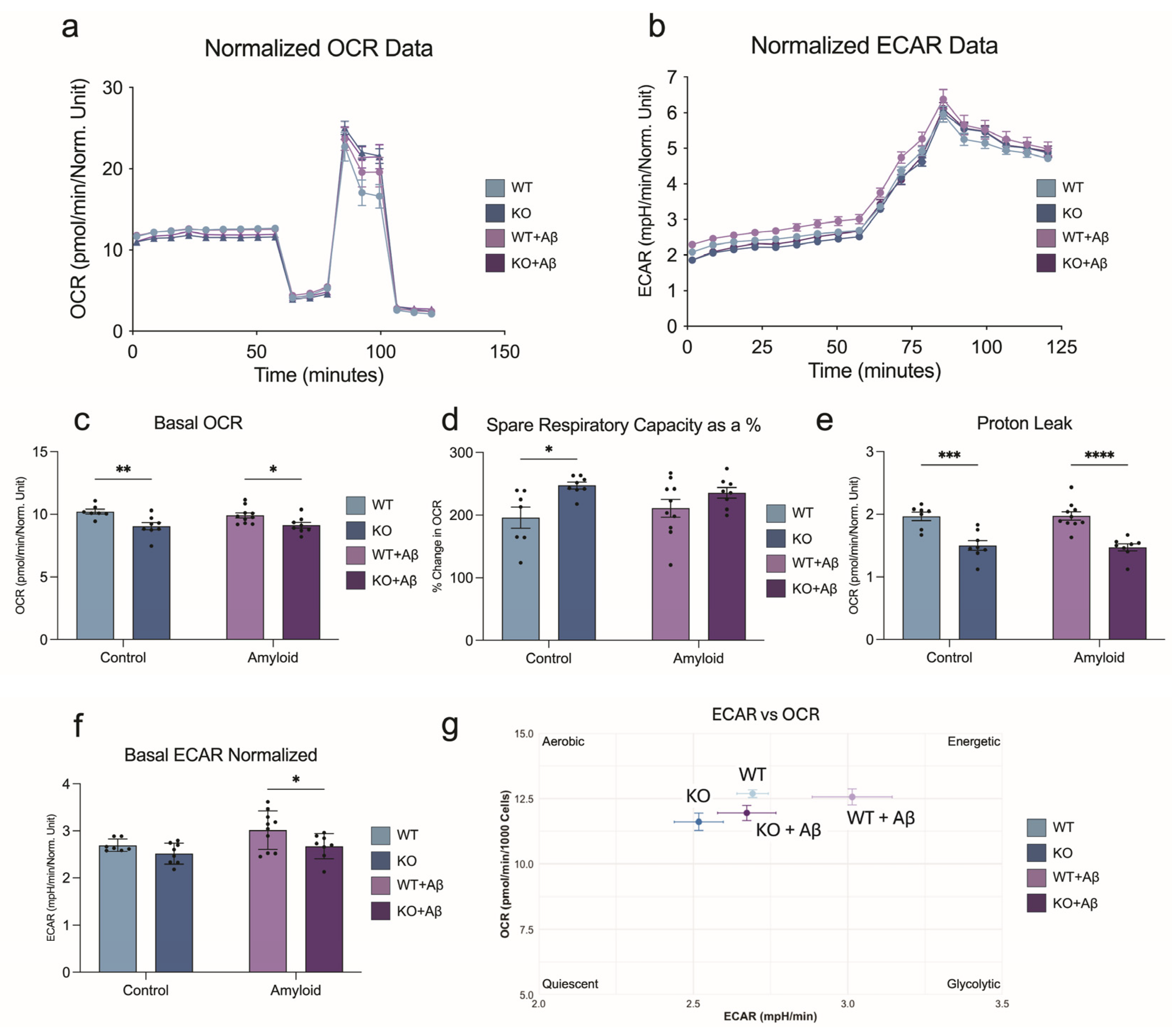 Cells 14 01783 g006 Cells 14 01783 g006