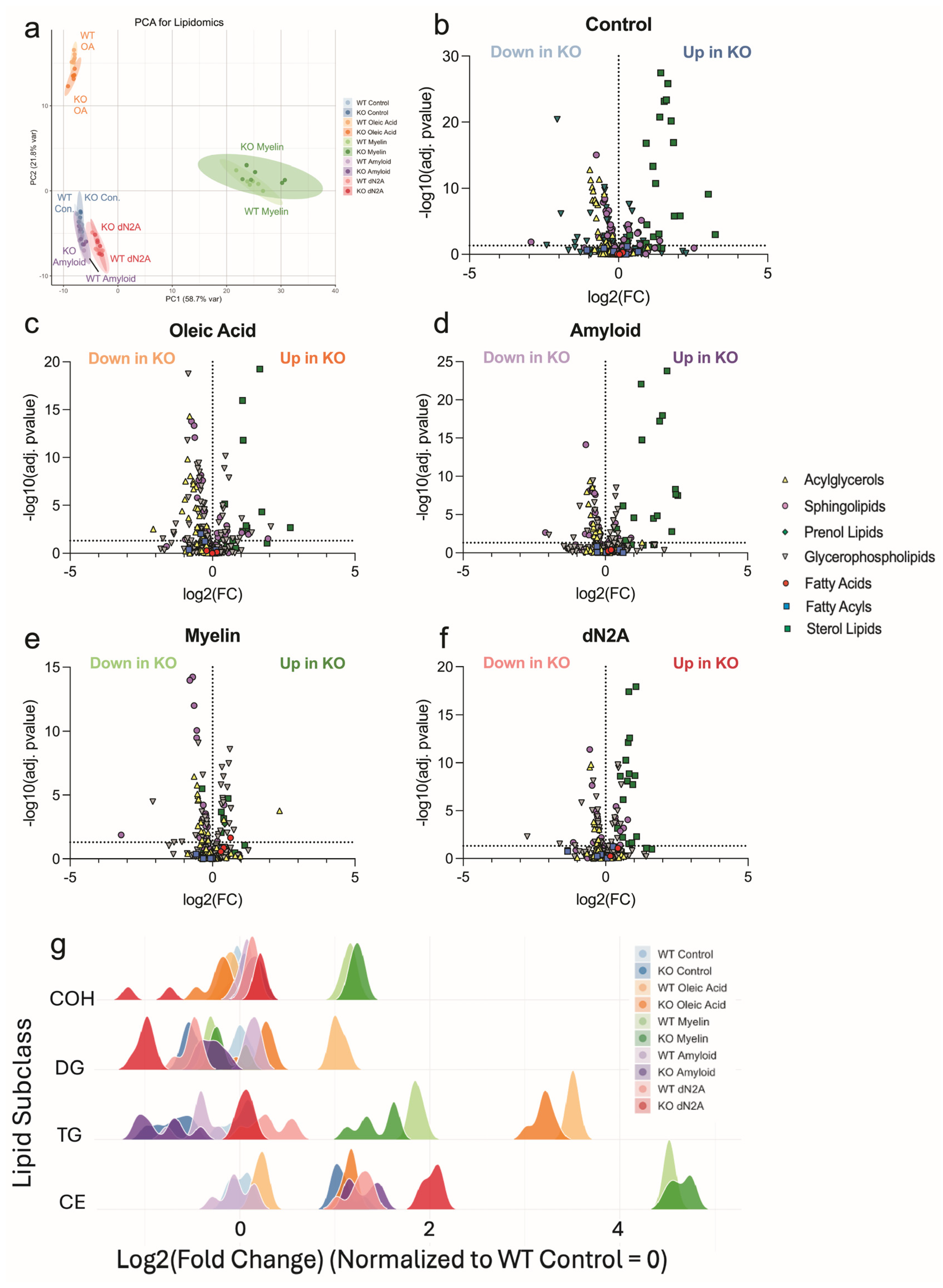 Cells 14 01783 g007 Cells 14 01783 g007
