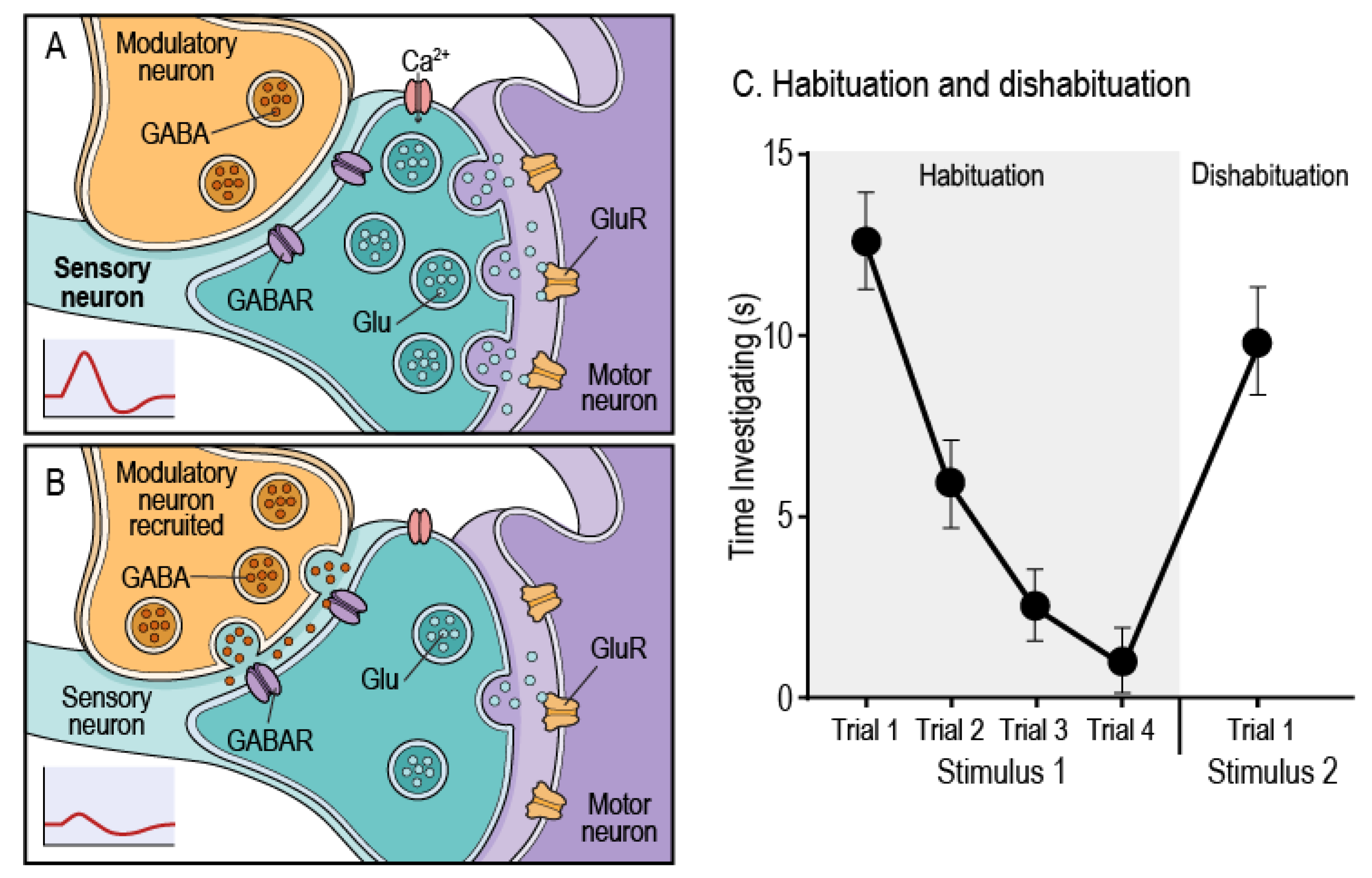 Cells 14 01786 g001 Cells 14 01786 g001