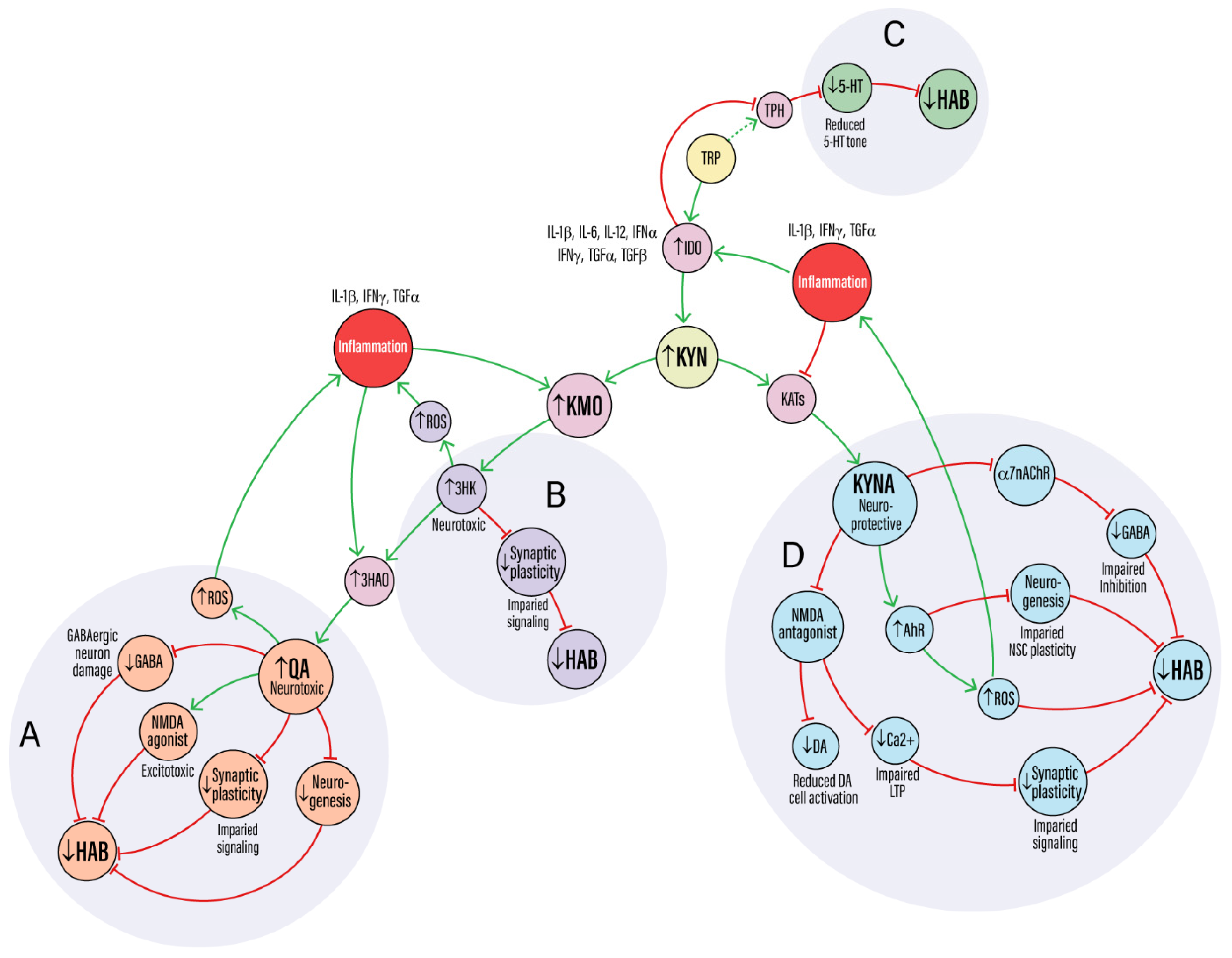 Cells 14 01786 g003 Cells 14 01786 g003