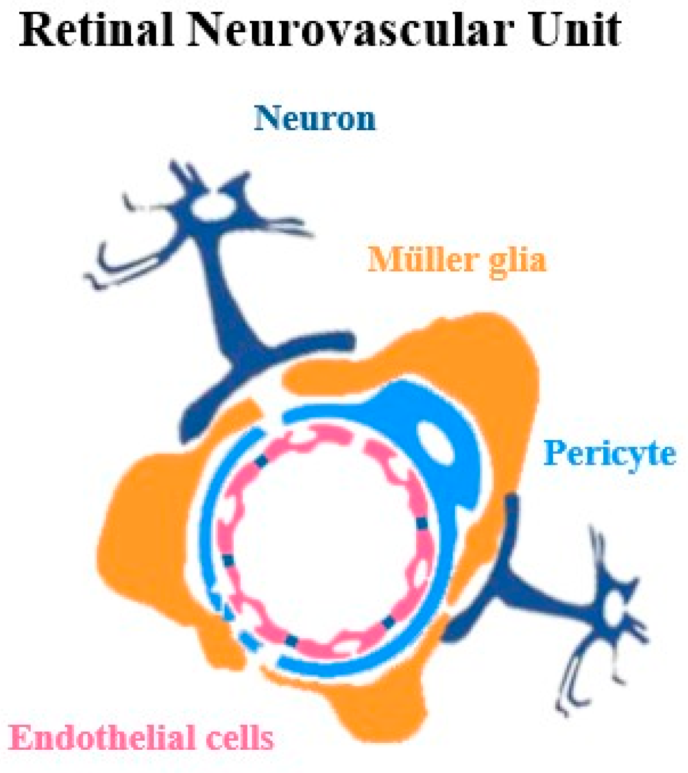 Cells 14 01798 g002 Cells 14 01798 g002