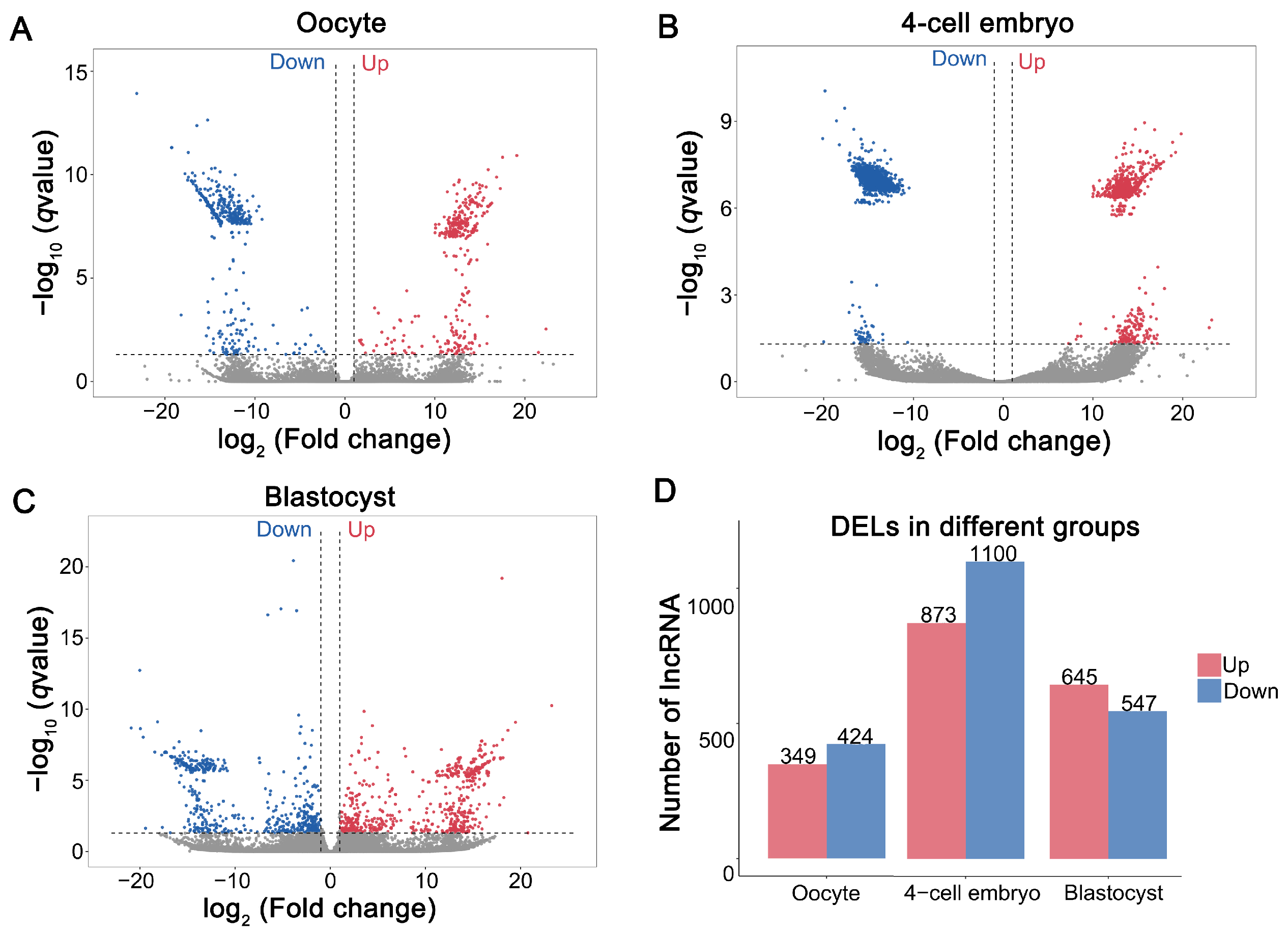 Cells 14 01808 g002 Cells 14 01808 g002