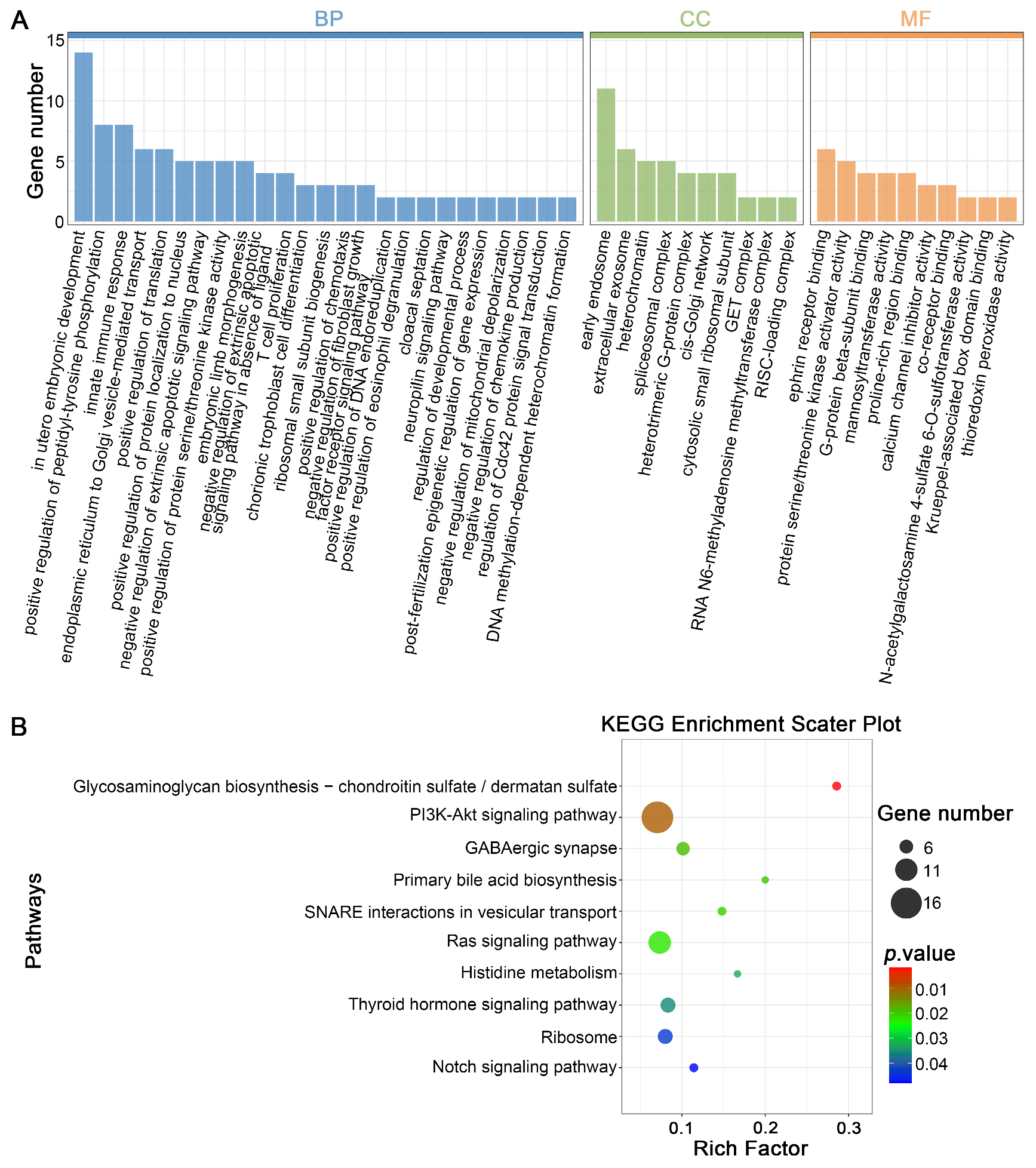 Cells 14 01808 g004 Cells 14 01808 g004