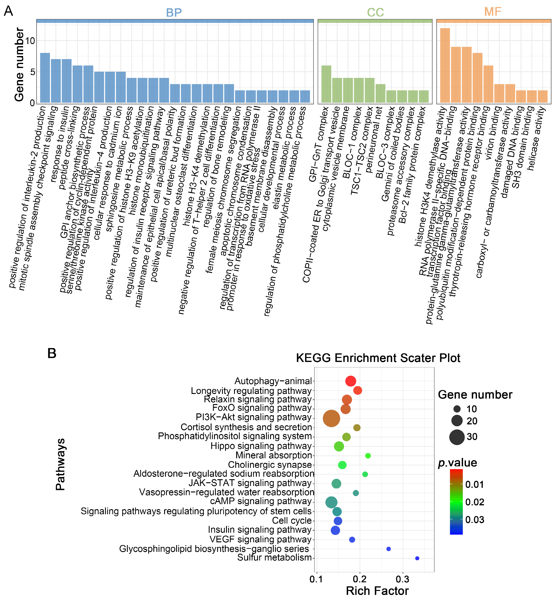 Cells 14 01808 g006 Cells 14 01808 g006