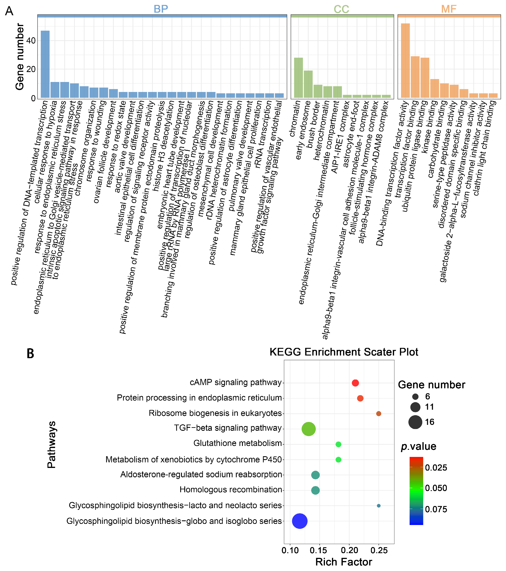Cells 14 01808 g008 Cells 14 01808 g008