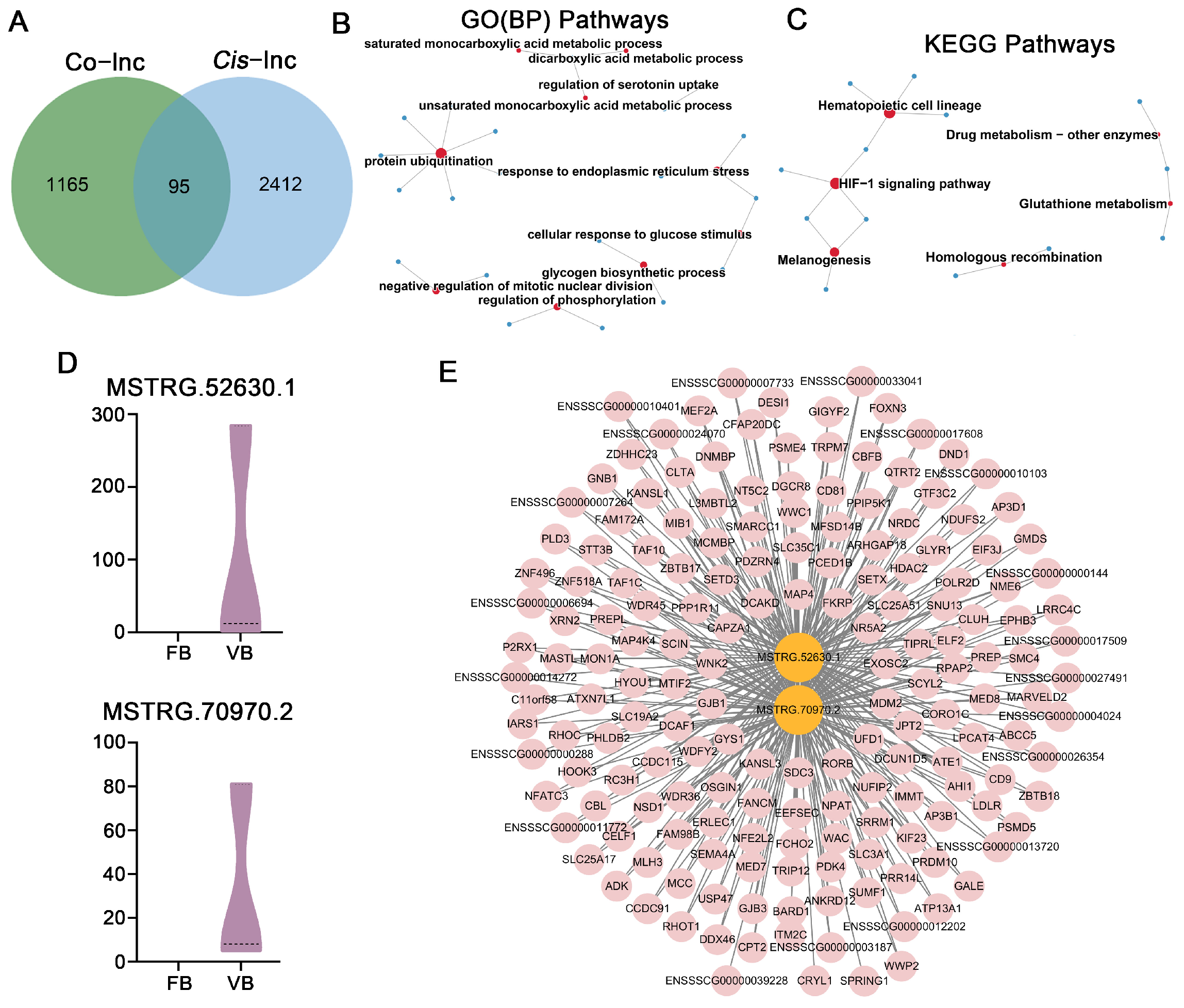 Cells 14 01808 g009 Cells 14 01808 g009