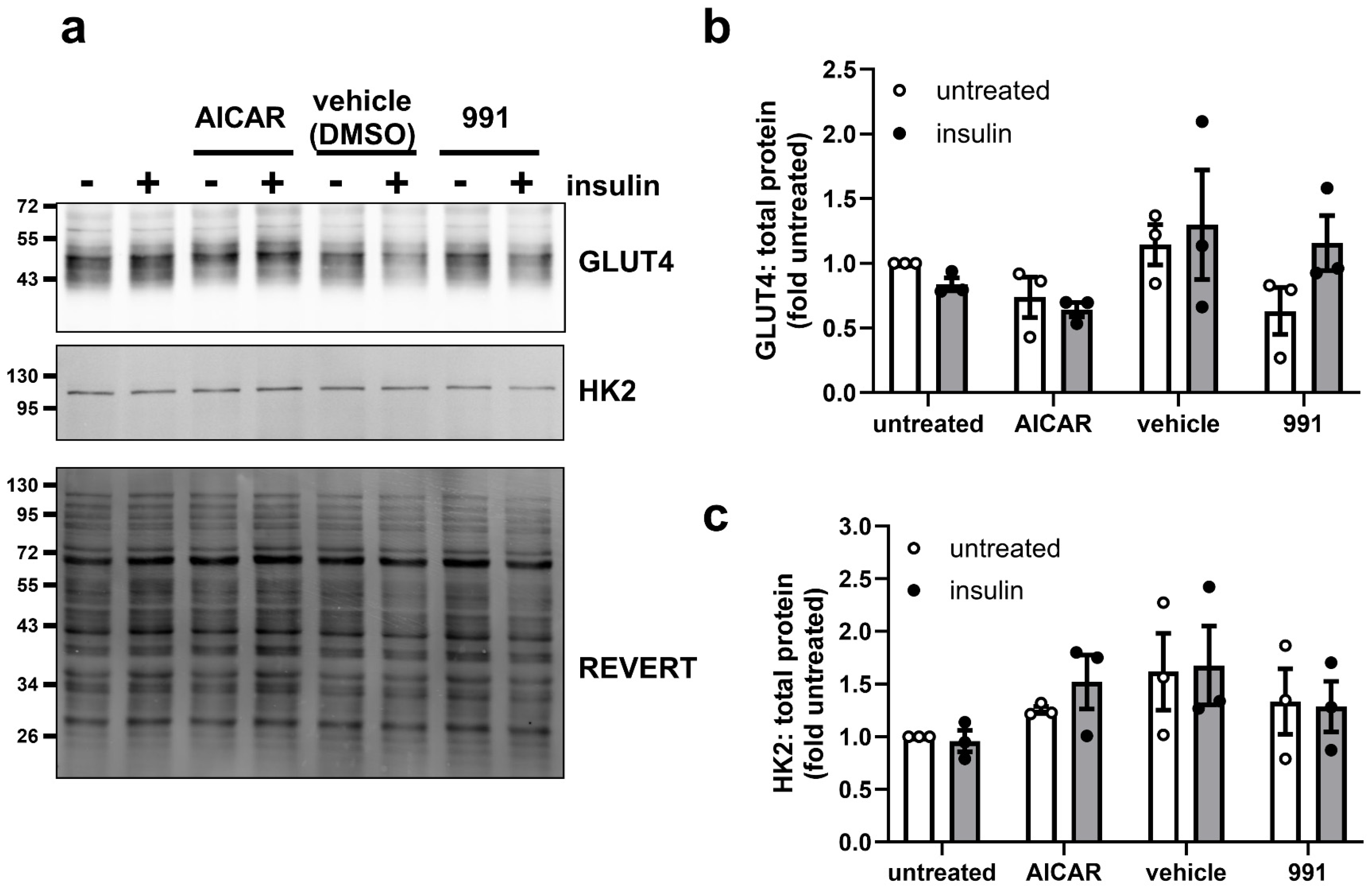 Cells 14 01811 g002