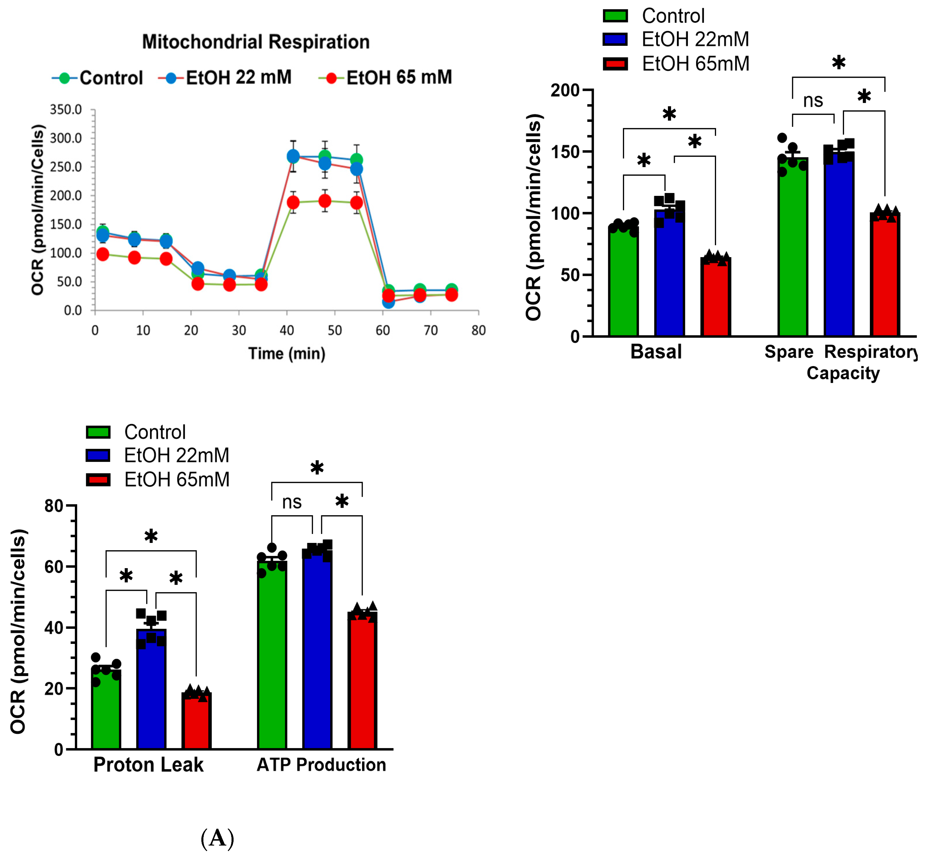 Cells 14 01817 g005a