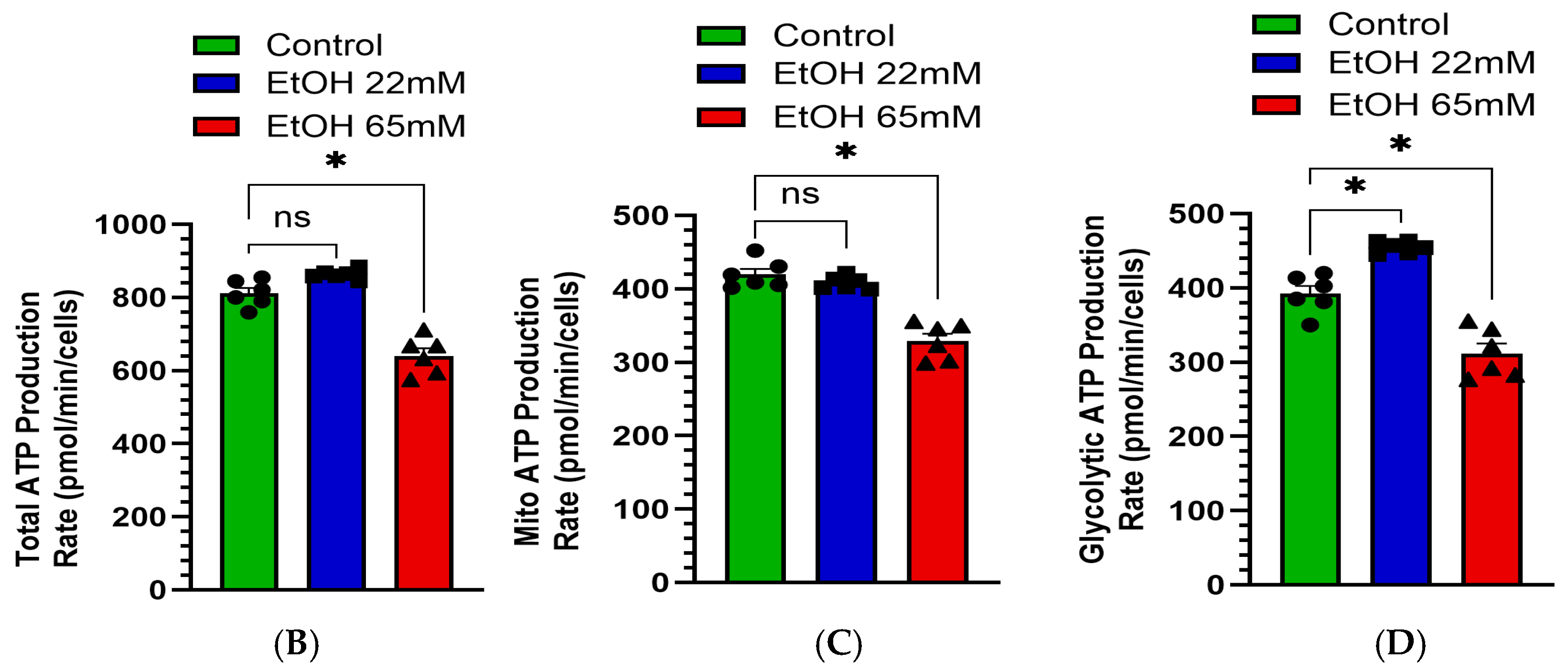 Cells 14 01817 g005b