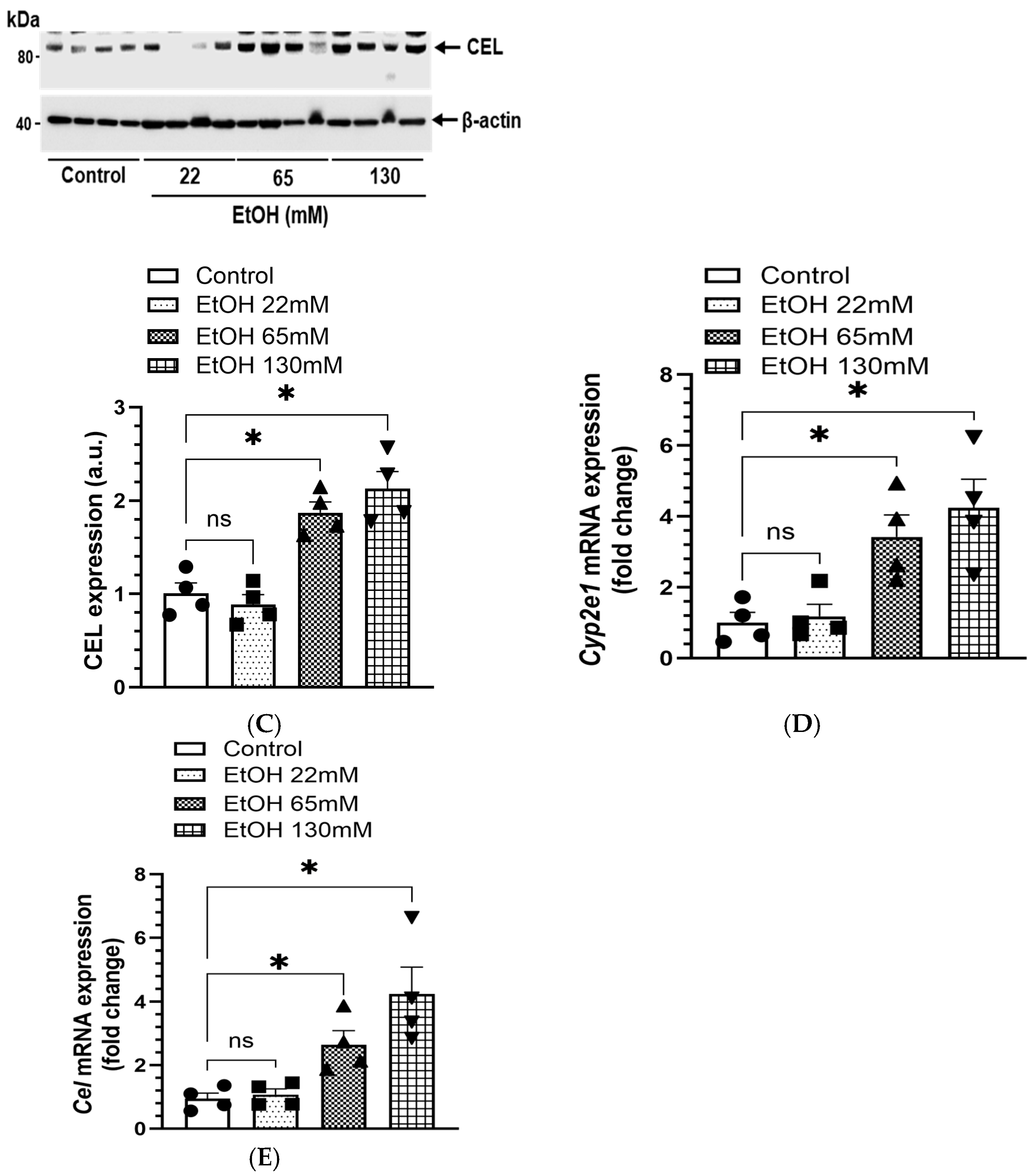 Cells 14 01817 g006b