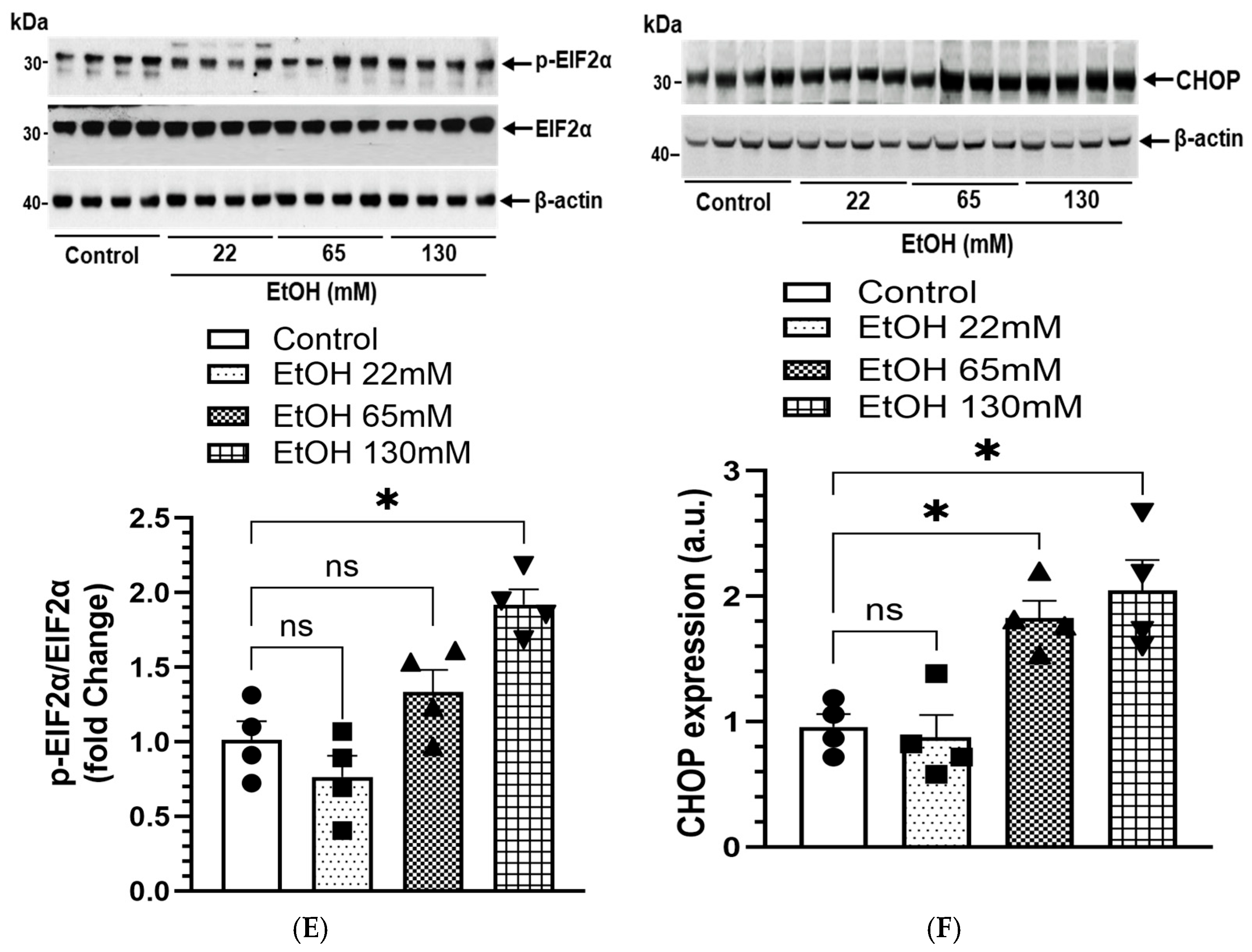 Cells 14 01817 g011b
