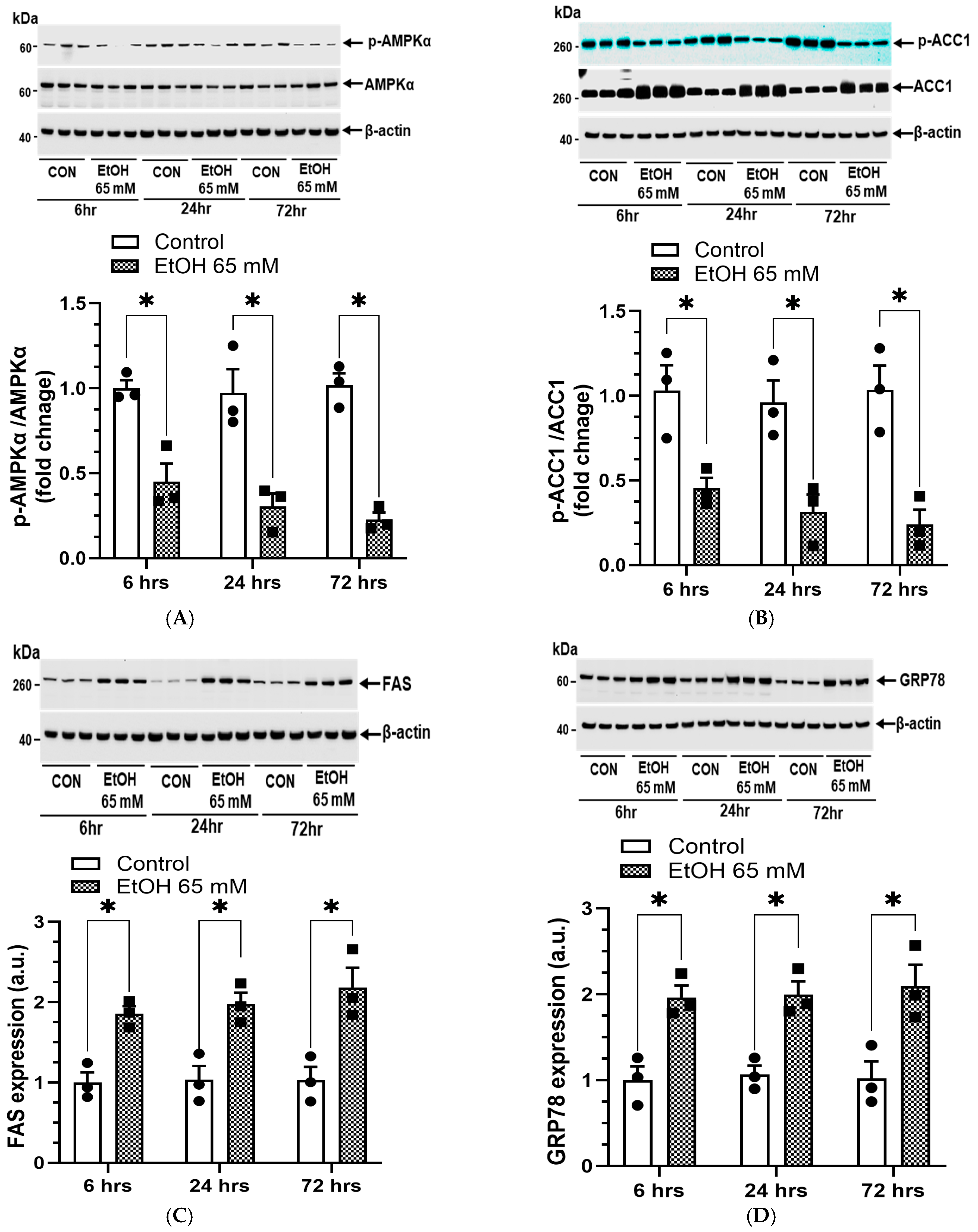 Cells 14 01817 g014a