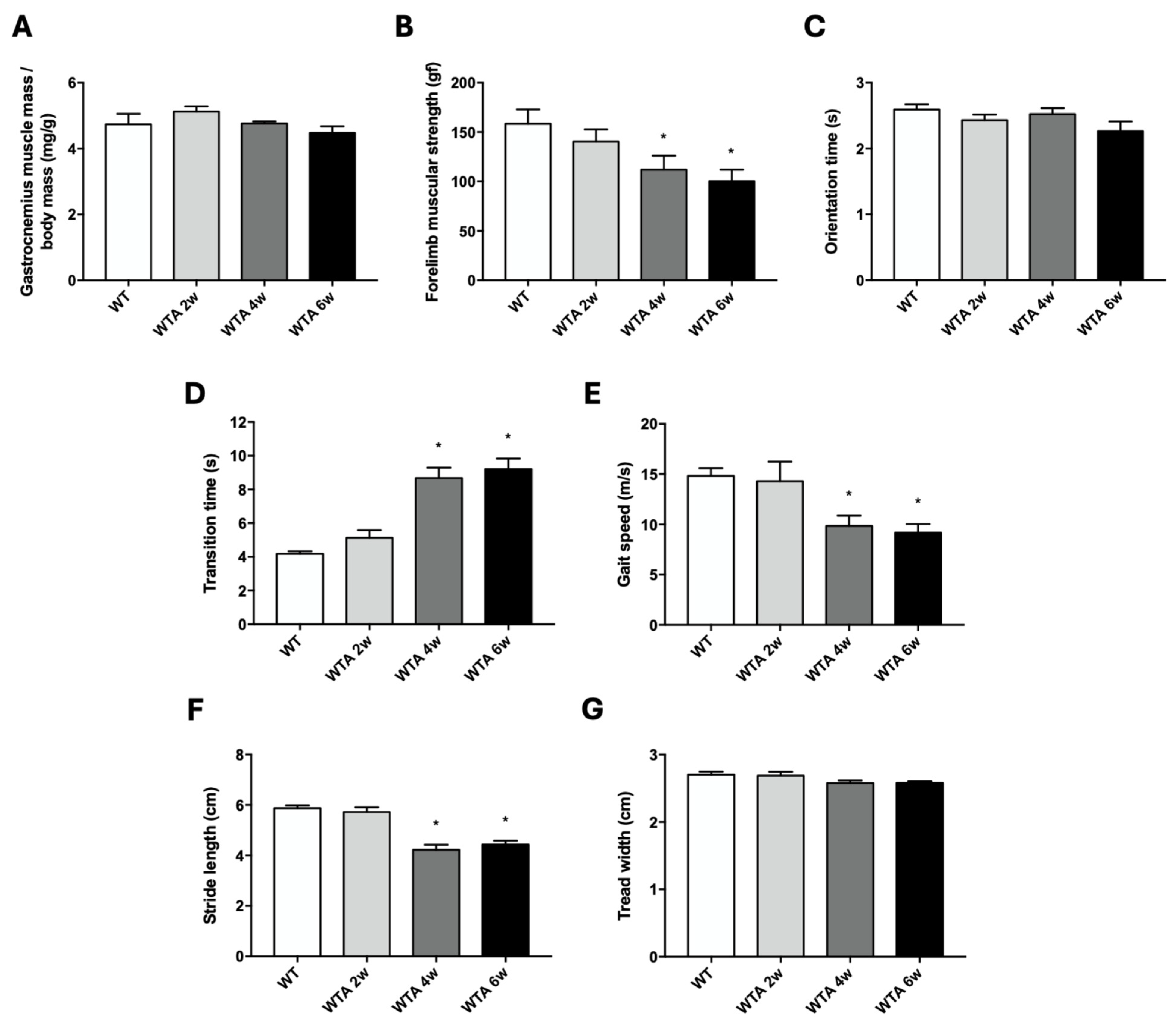 Cells 14 01846 g002 Cells 14 01846 g002