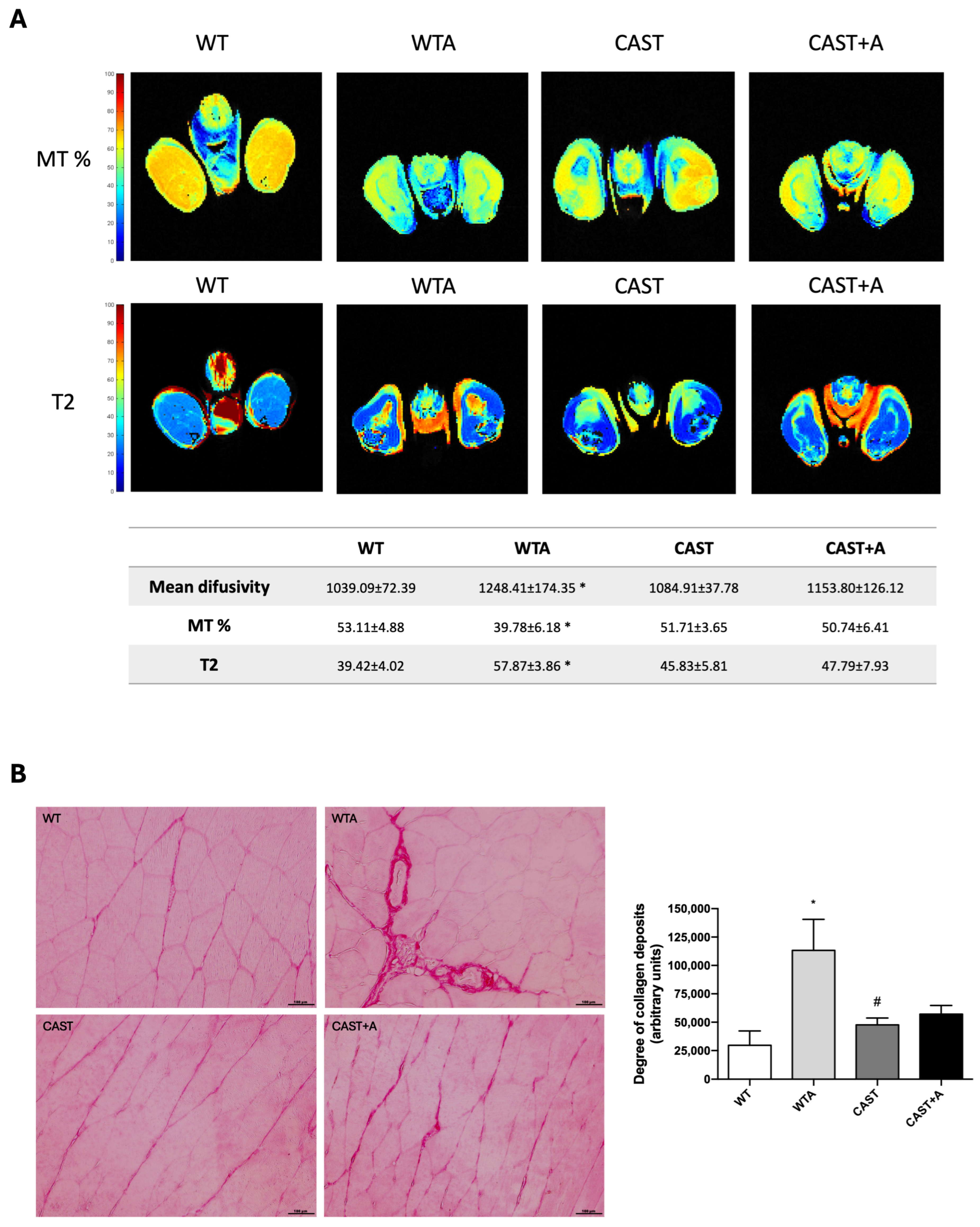 Cells 14 01846 g003 Cells 14 01846 g003
