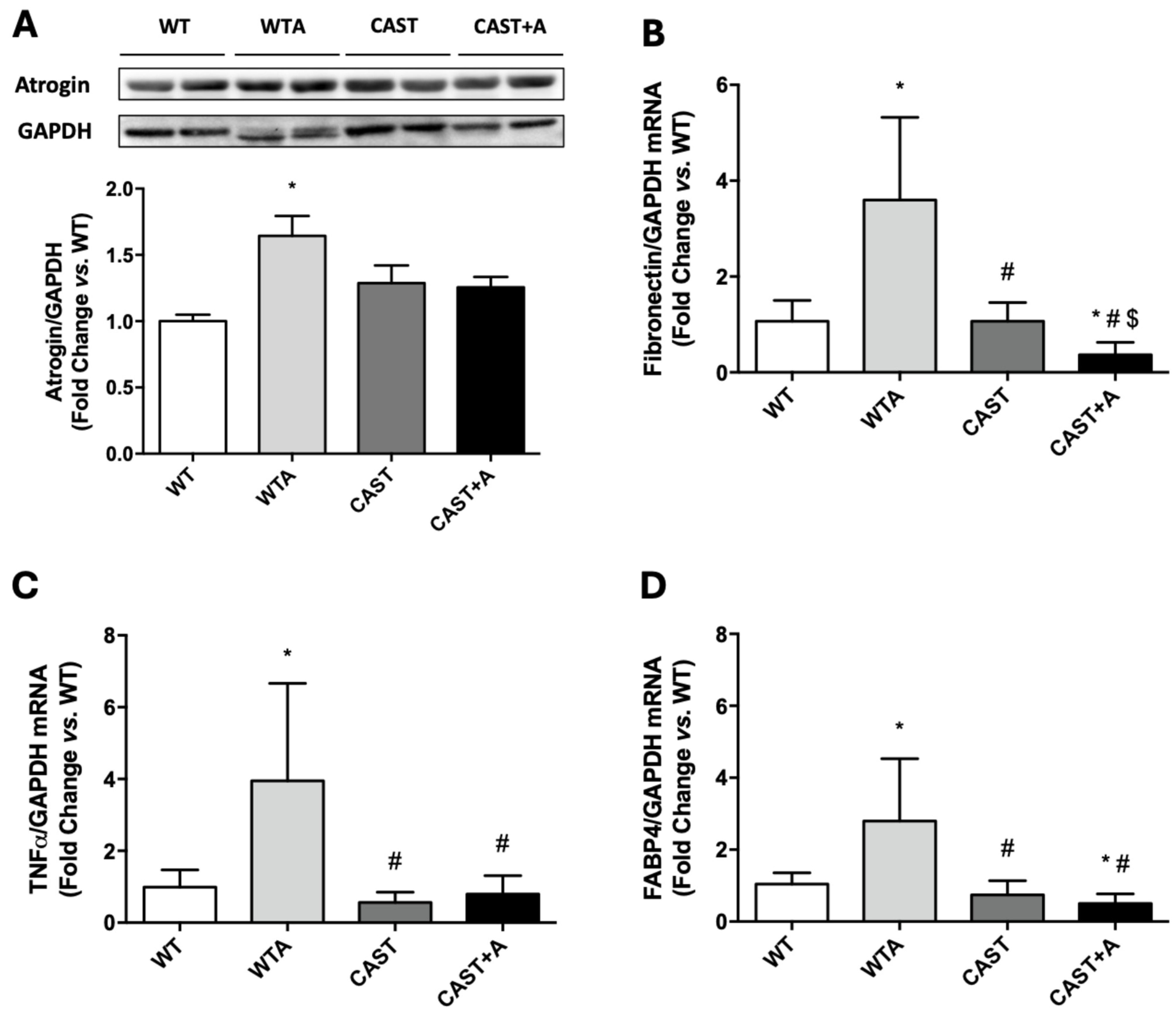 Cells 14 01846 g004 Cells 14 01846 g004