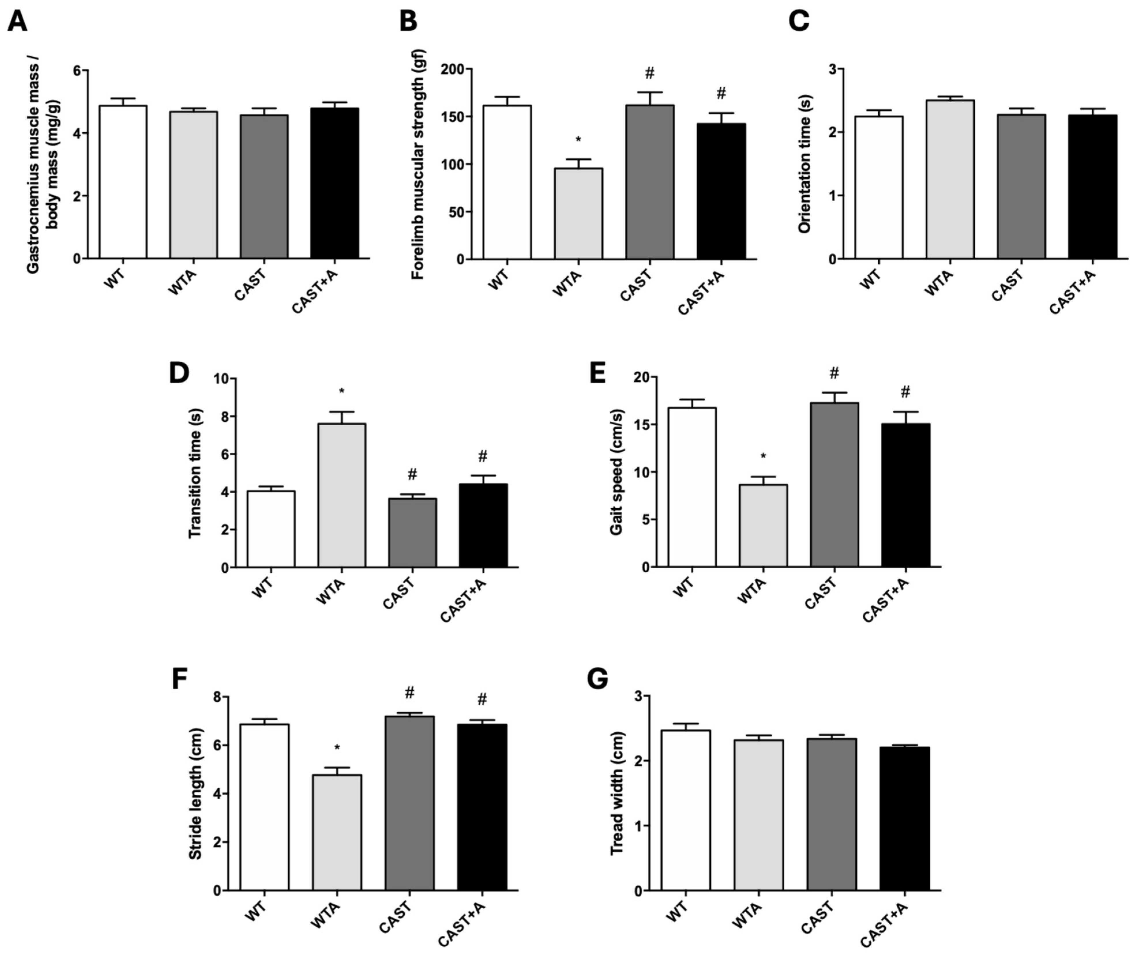Cells 14 01846 g006 Cells 14 01846 g006