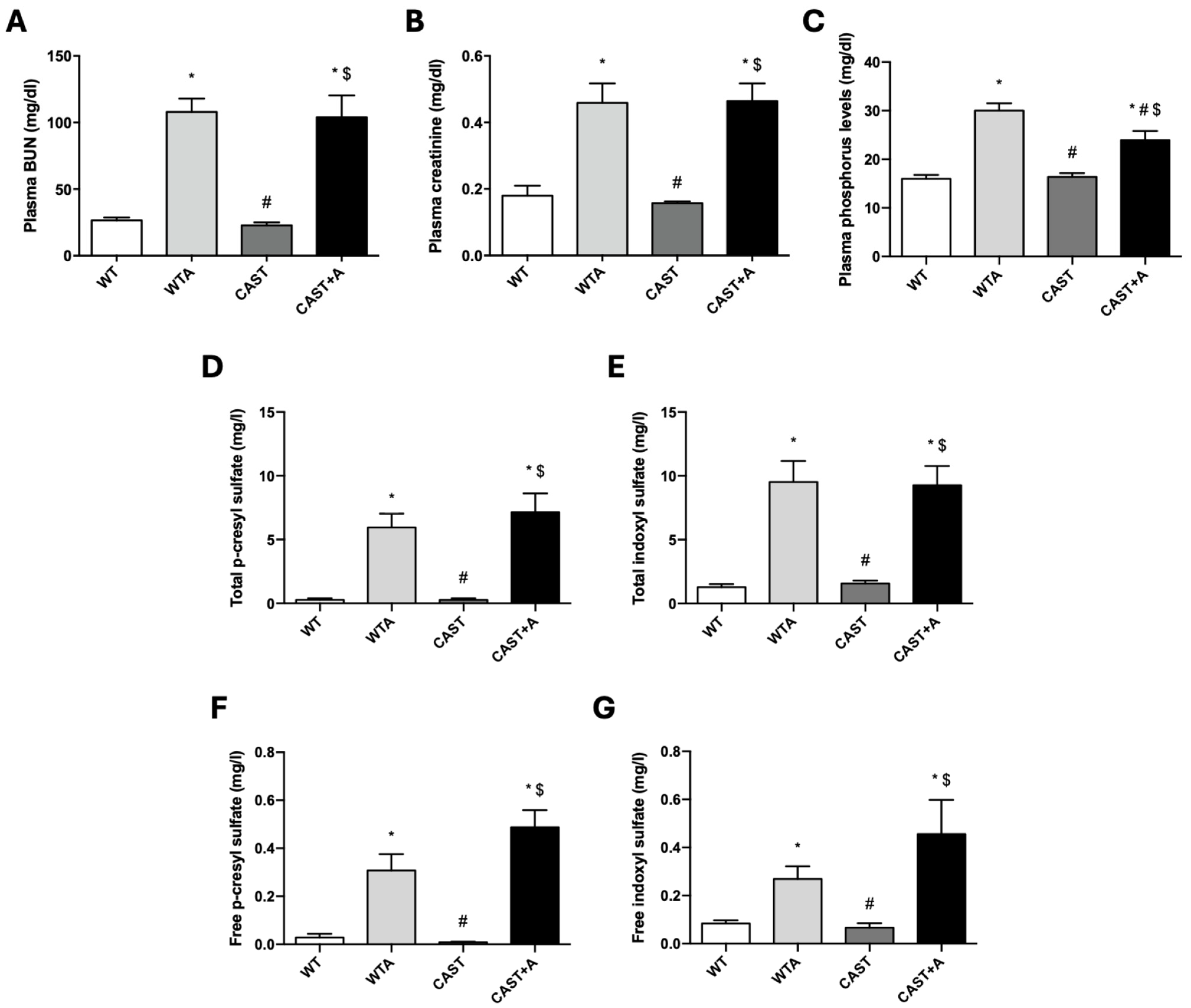 Cells 14 01846 g007 Cells 14 01846 g007