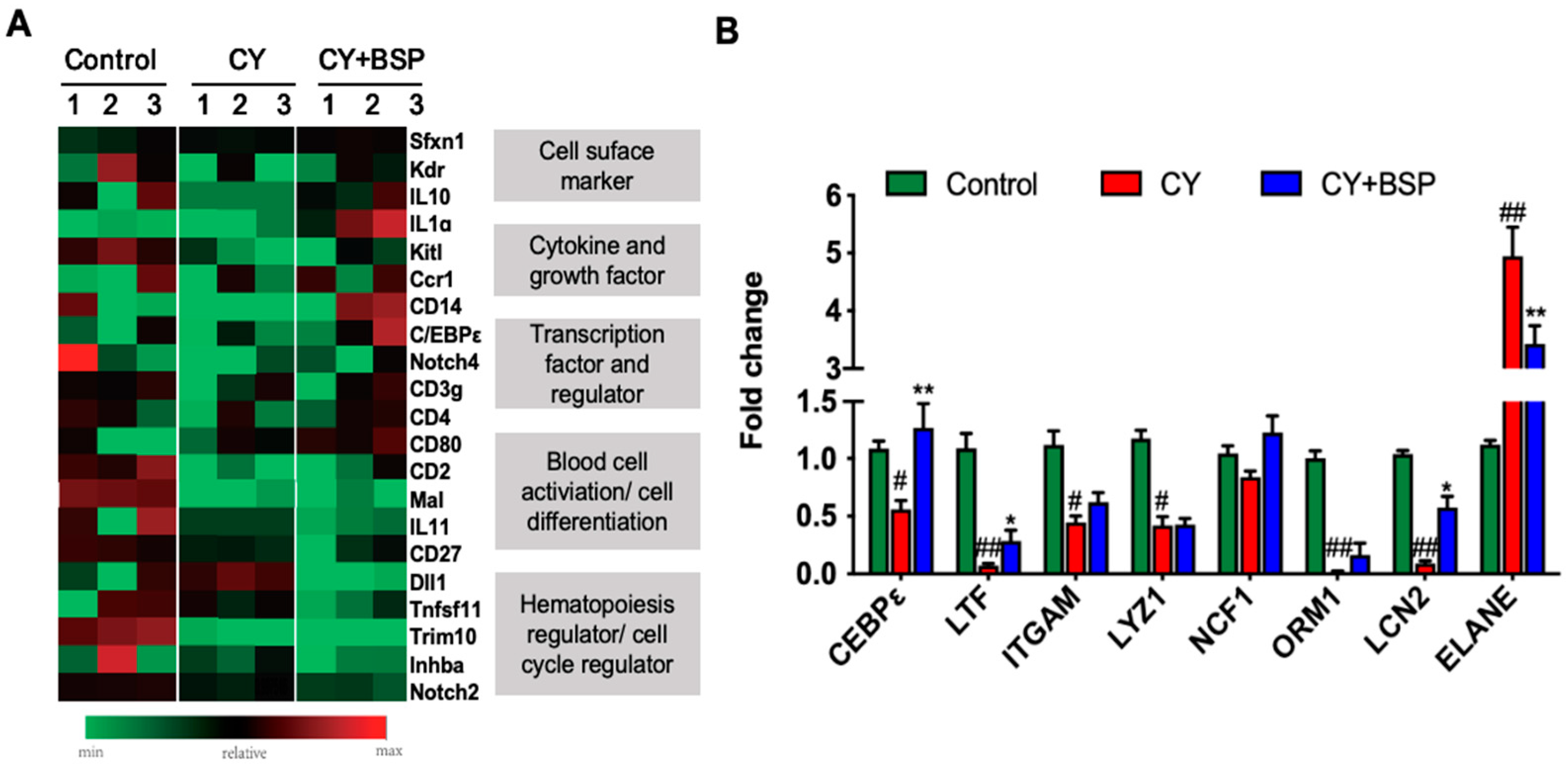 Cells 14 01888 g004