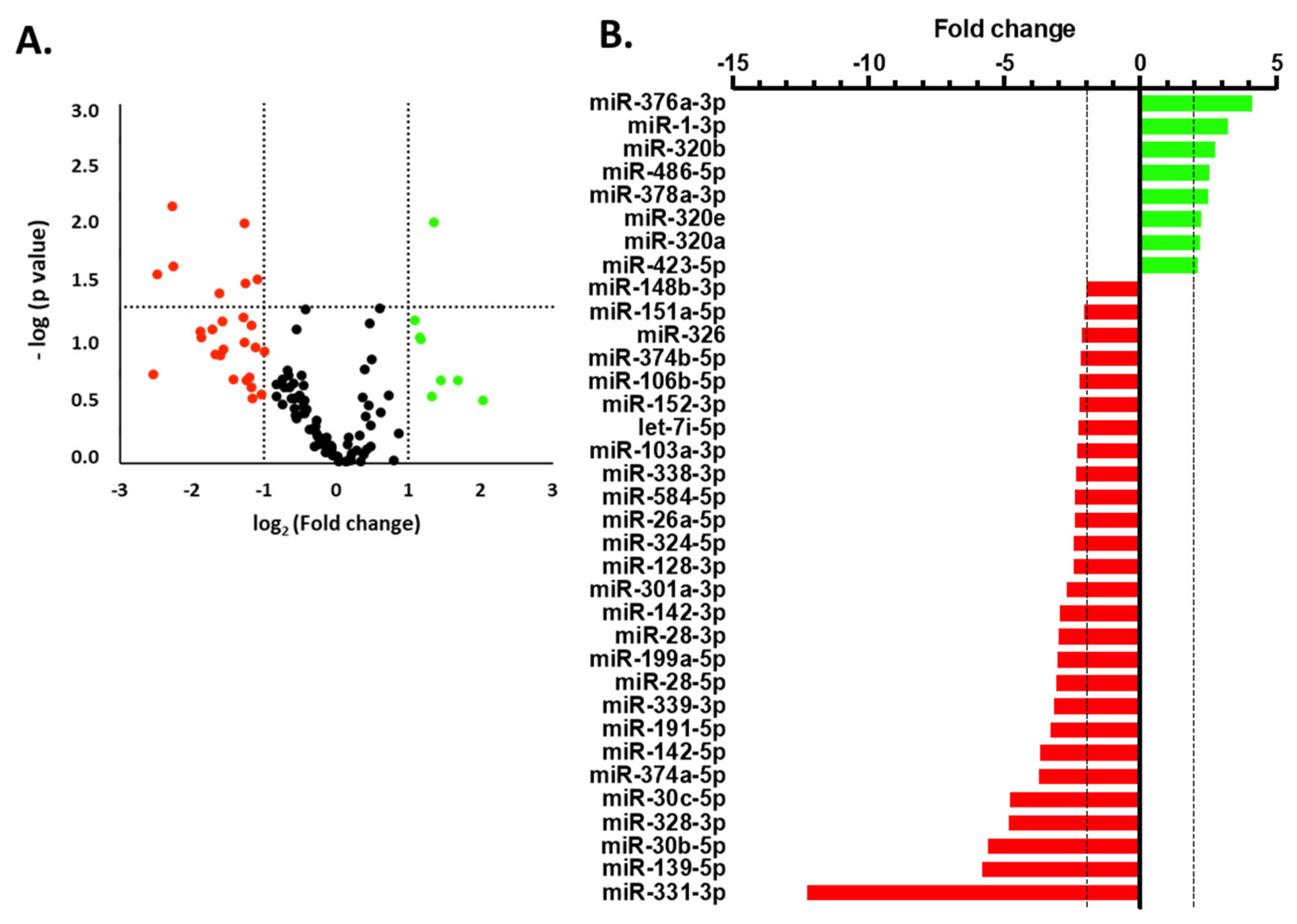 Cells 14 01916 g003 Cells 14 01916 g003