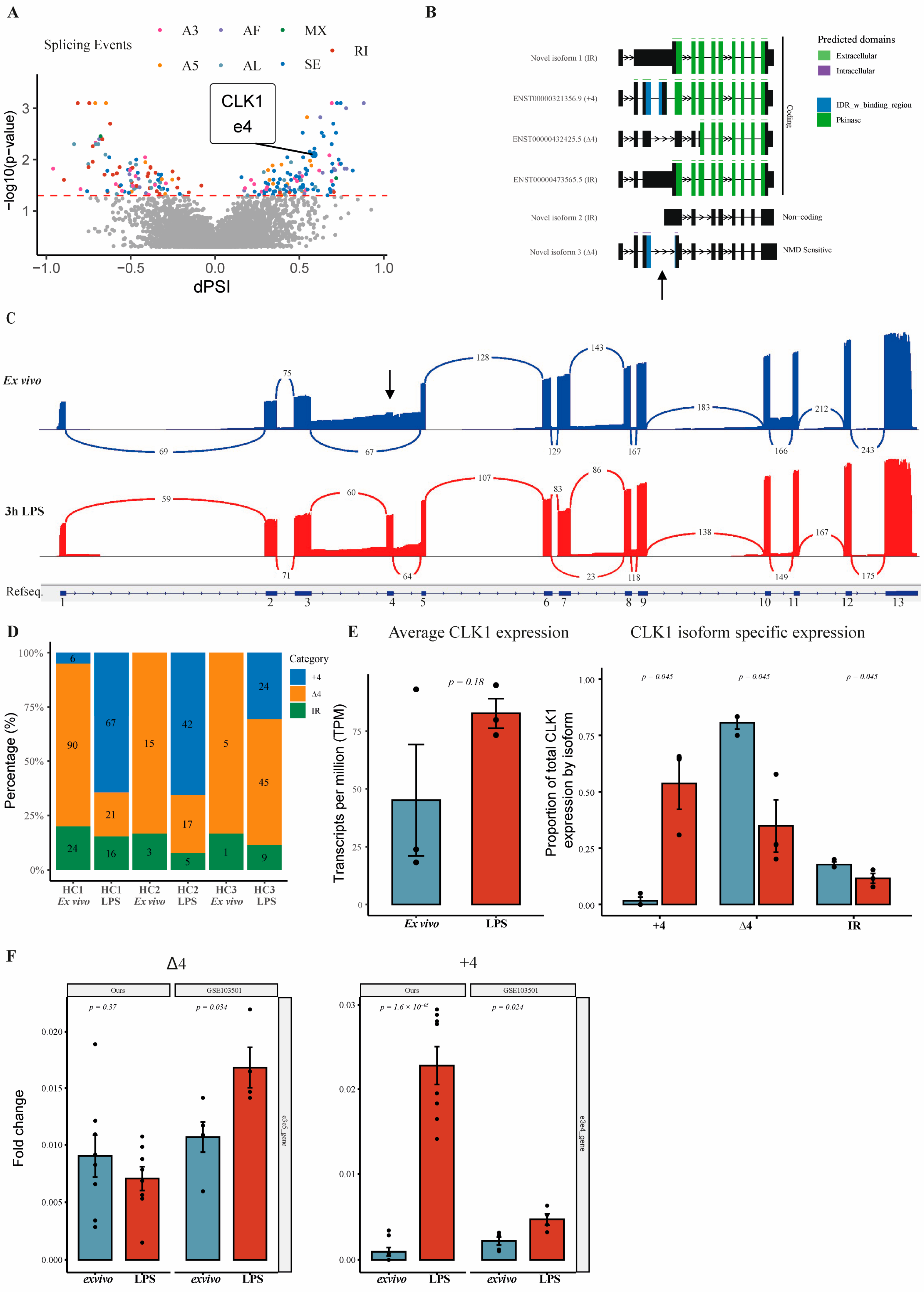Cells 14 01925 g001 Cells 14 01925 g001