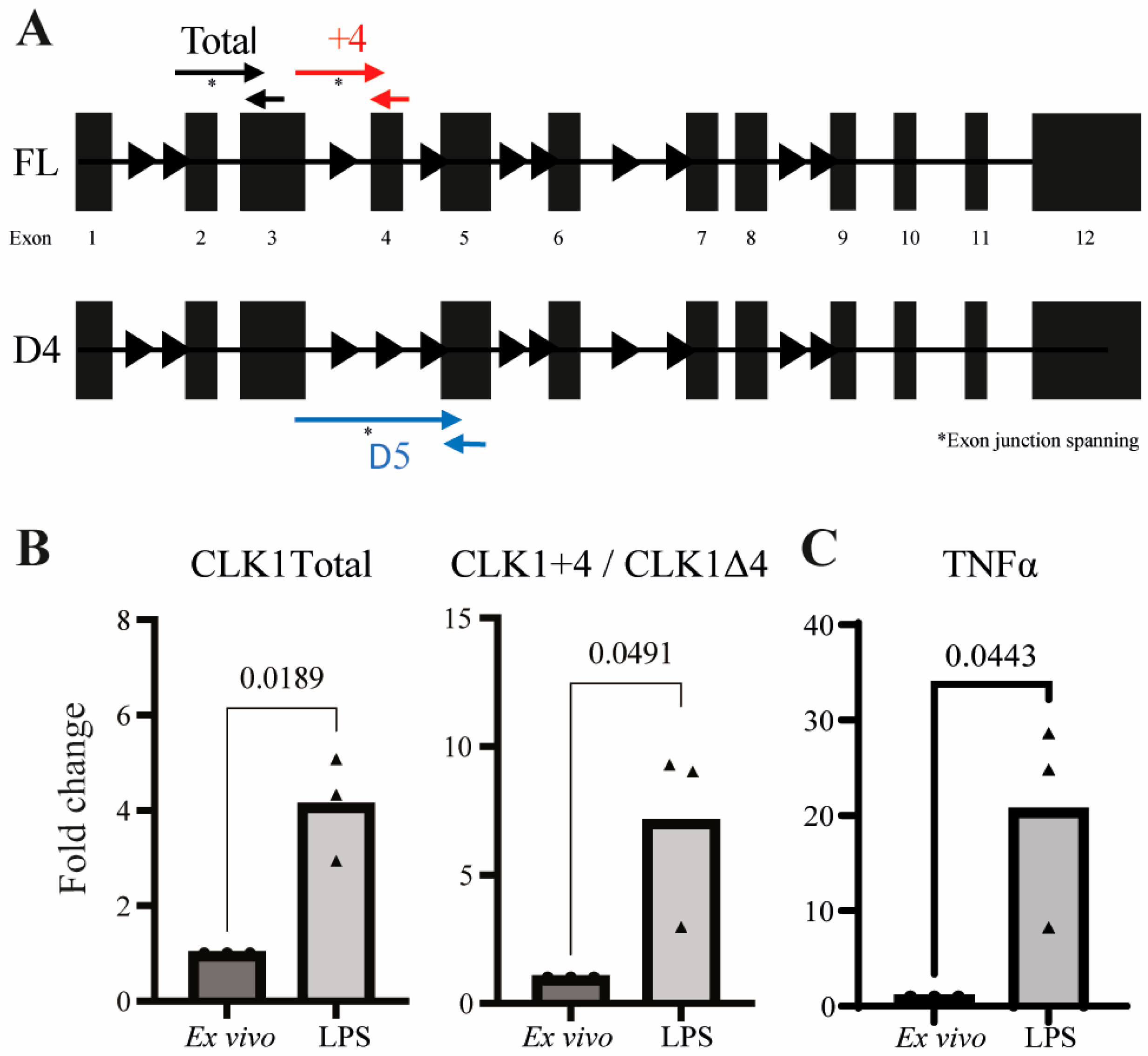 Cells 14 01925 g002 Cells 14 01925 g002