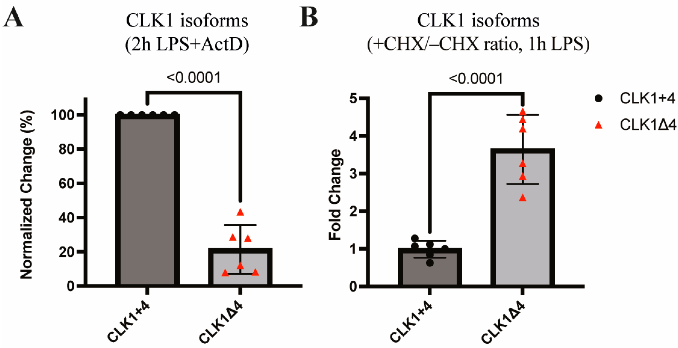 Cells 14 01925 g004 Cells 14 01925 g004