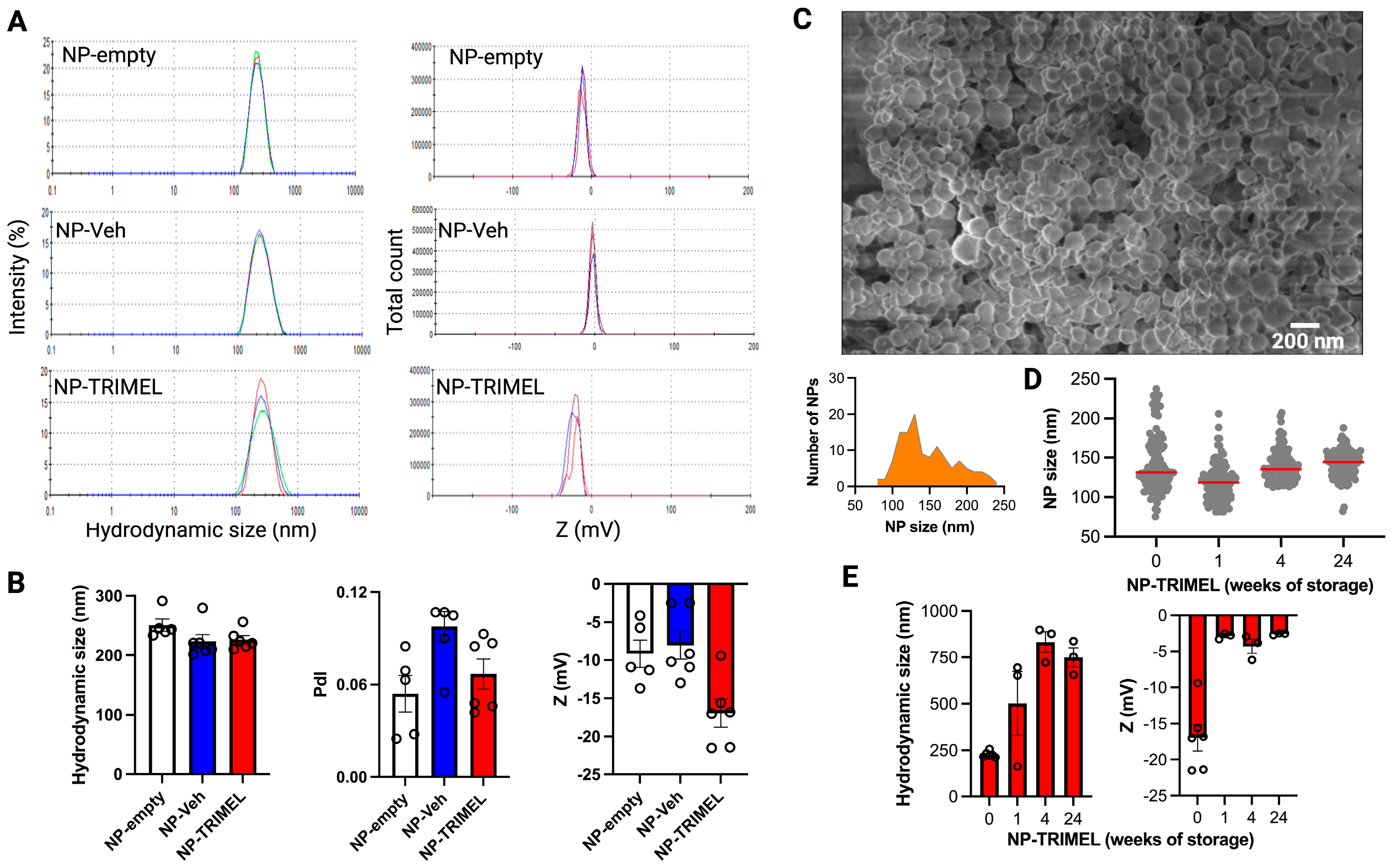 Cells 14 01939 g001 Cells 14 01939 g001
