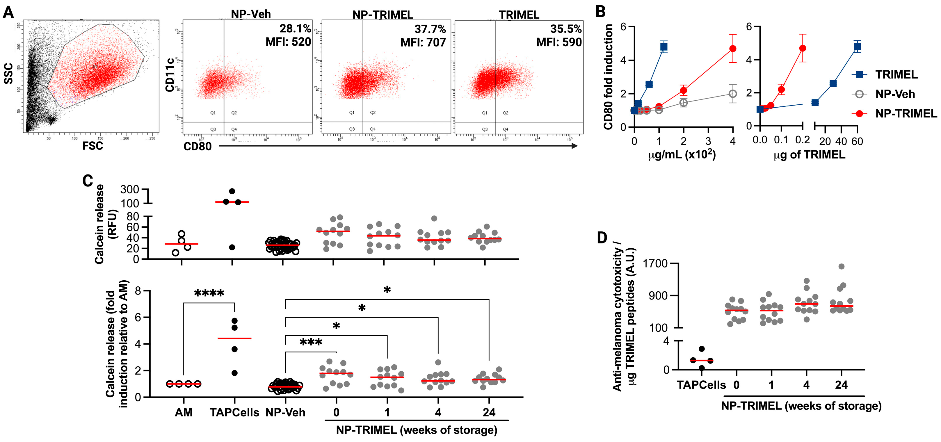 Cells 14 01939 g003 Cells 14 01939 g003
