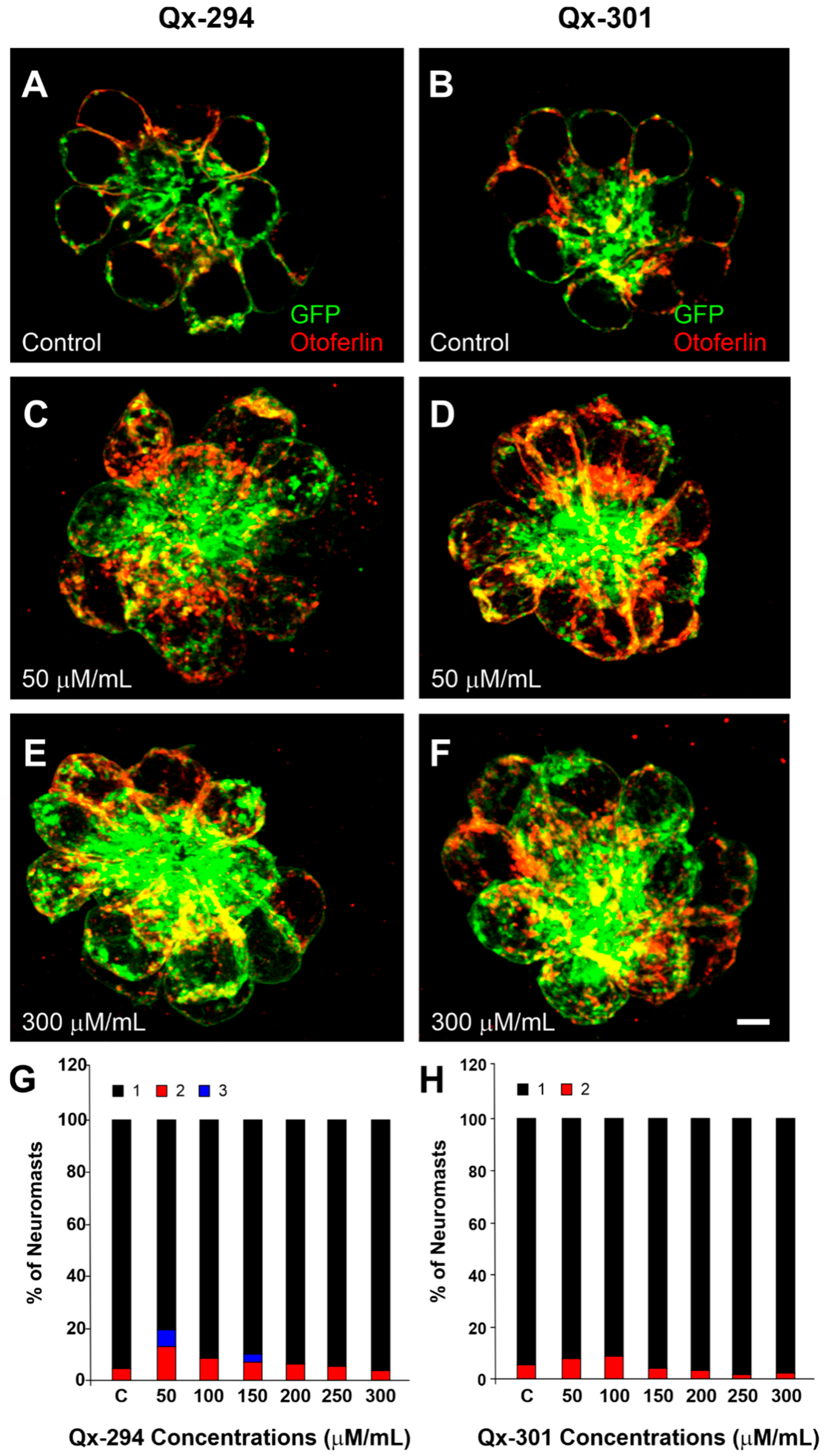 Cells 14 01946 g003 Cells 14 01946 g003