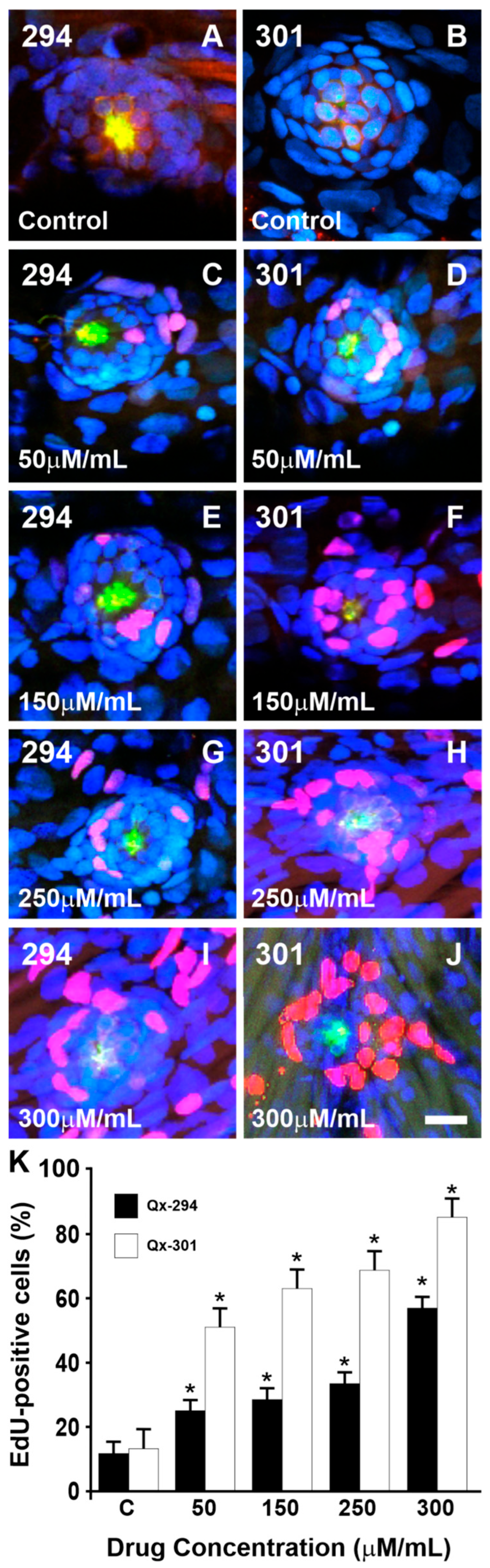 Cells 14 01946 g006 Cells 14 01946 g006