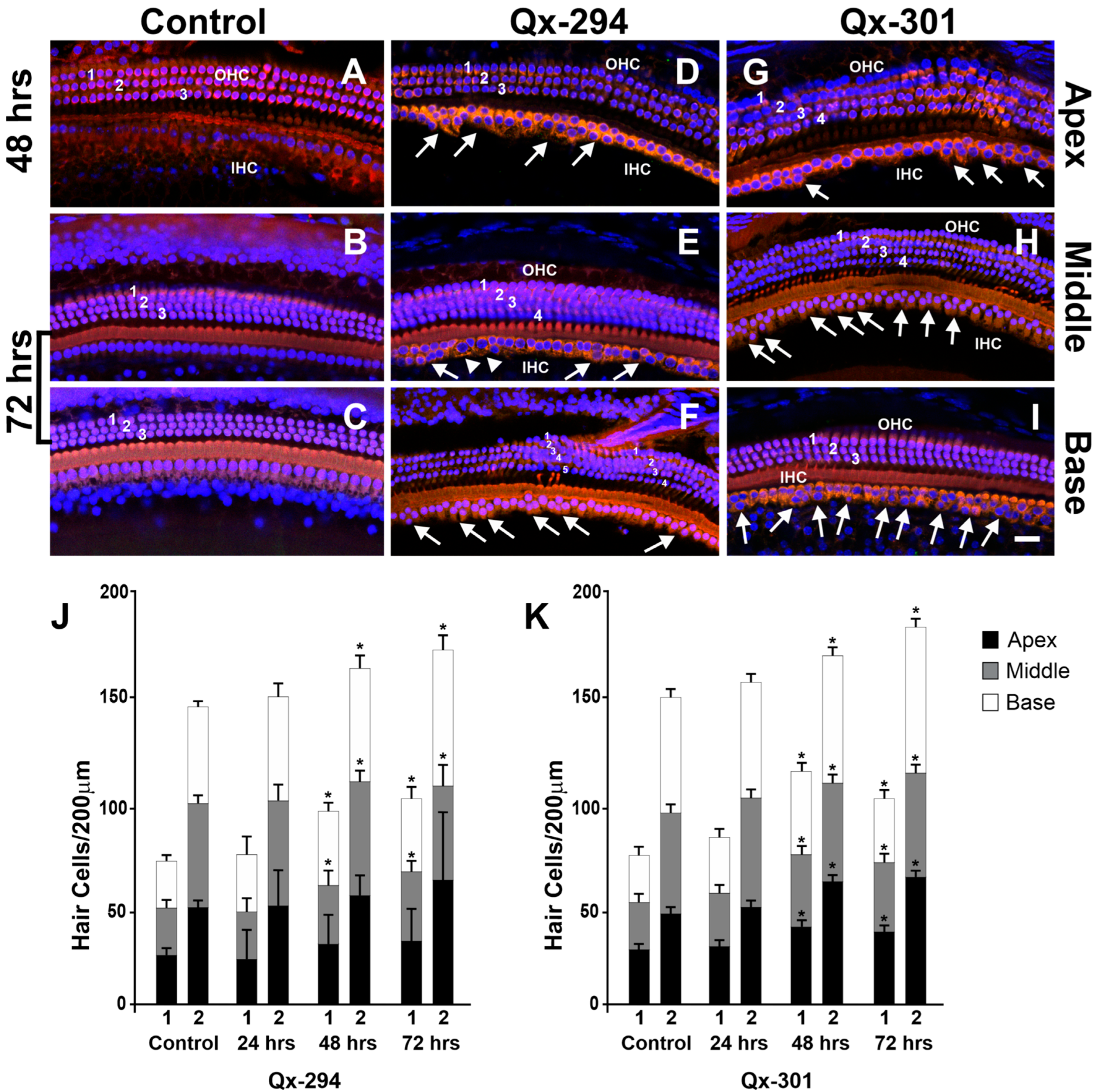 Cells 14 01946 g007 Cells 14 01946 g007