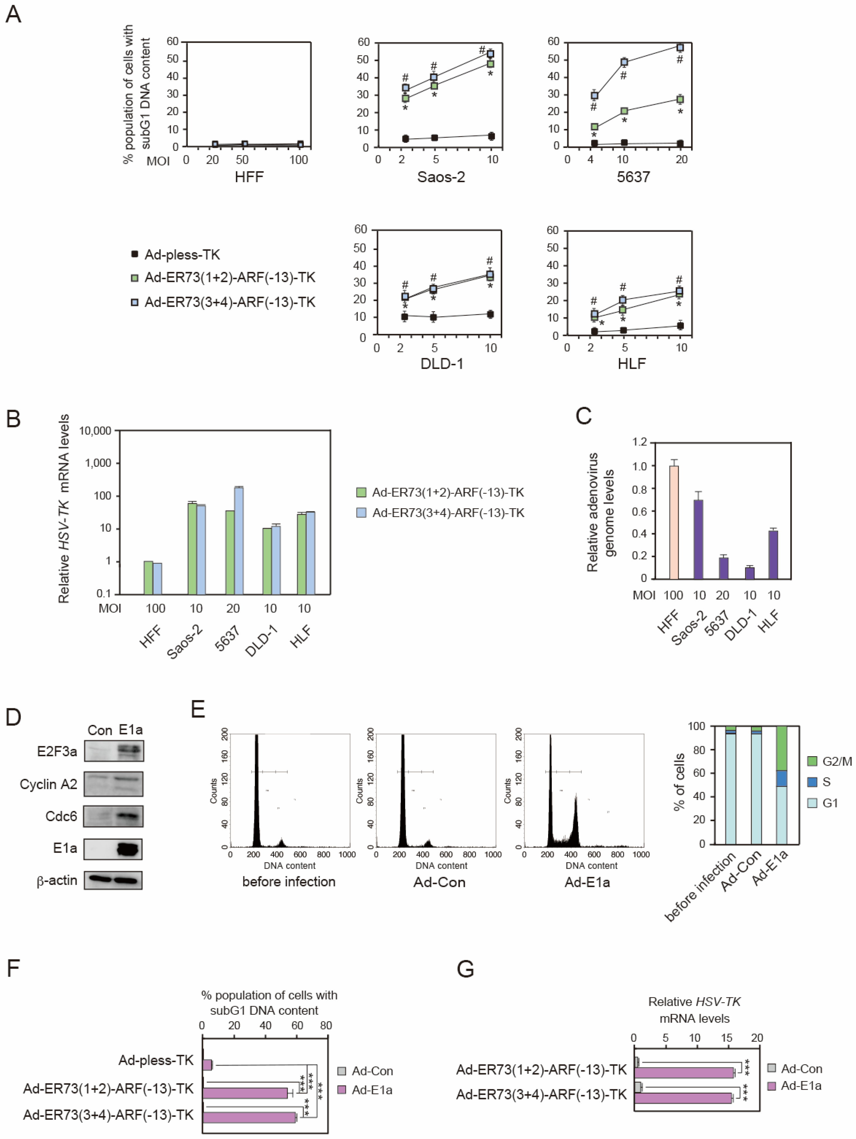 Cells 14 01953 g003 Cells 14 01953 g003