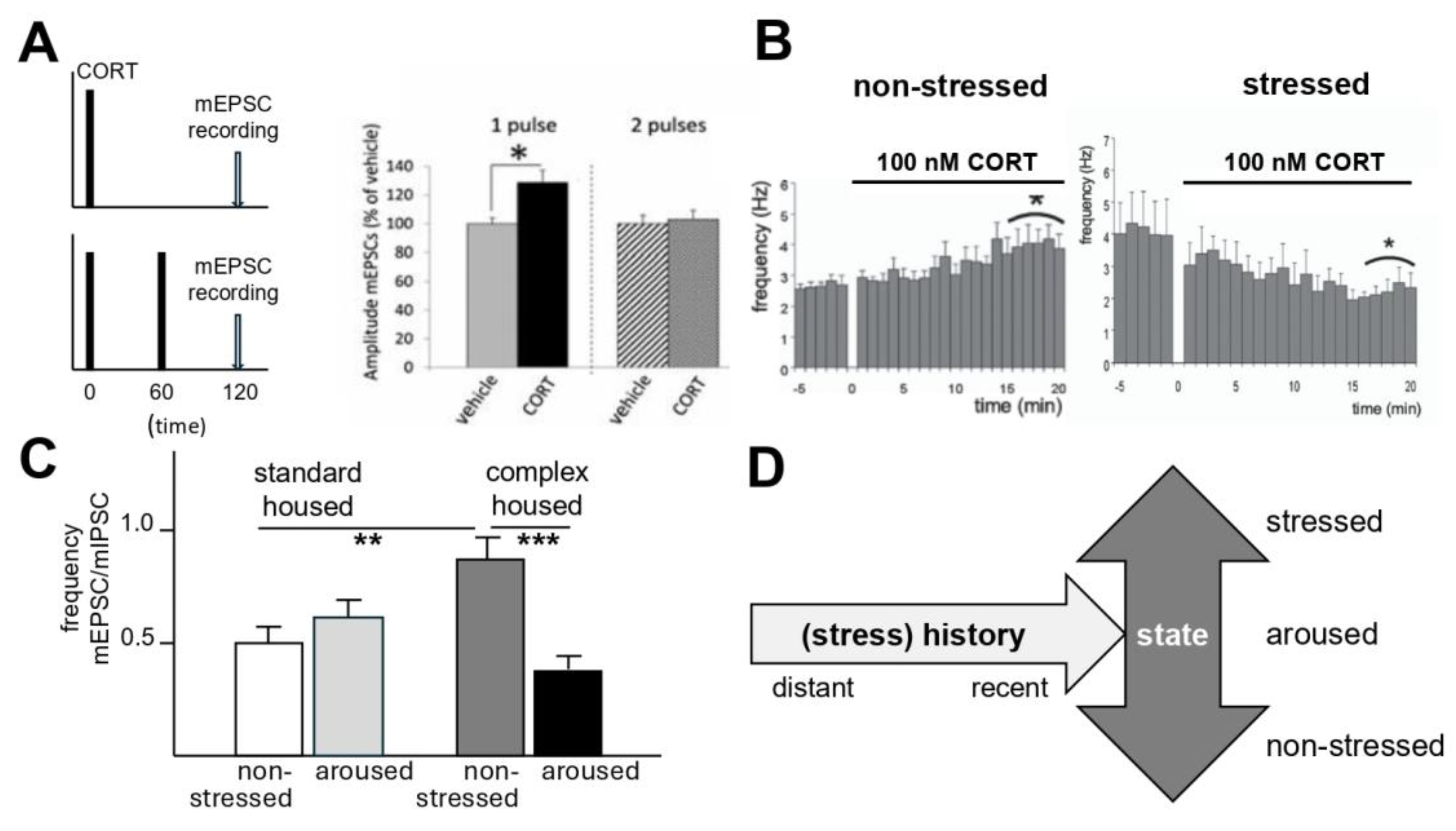 Cells 14 01957 g003 Cells 14 01957 g003