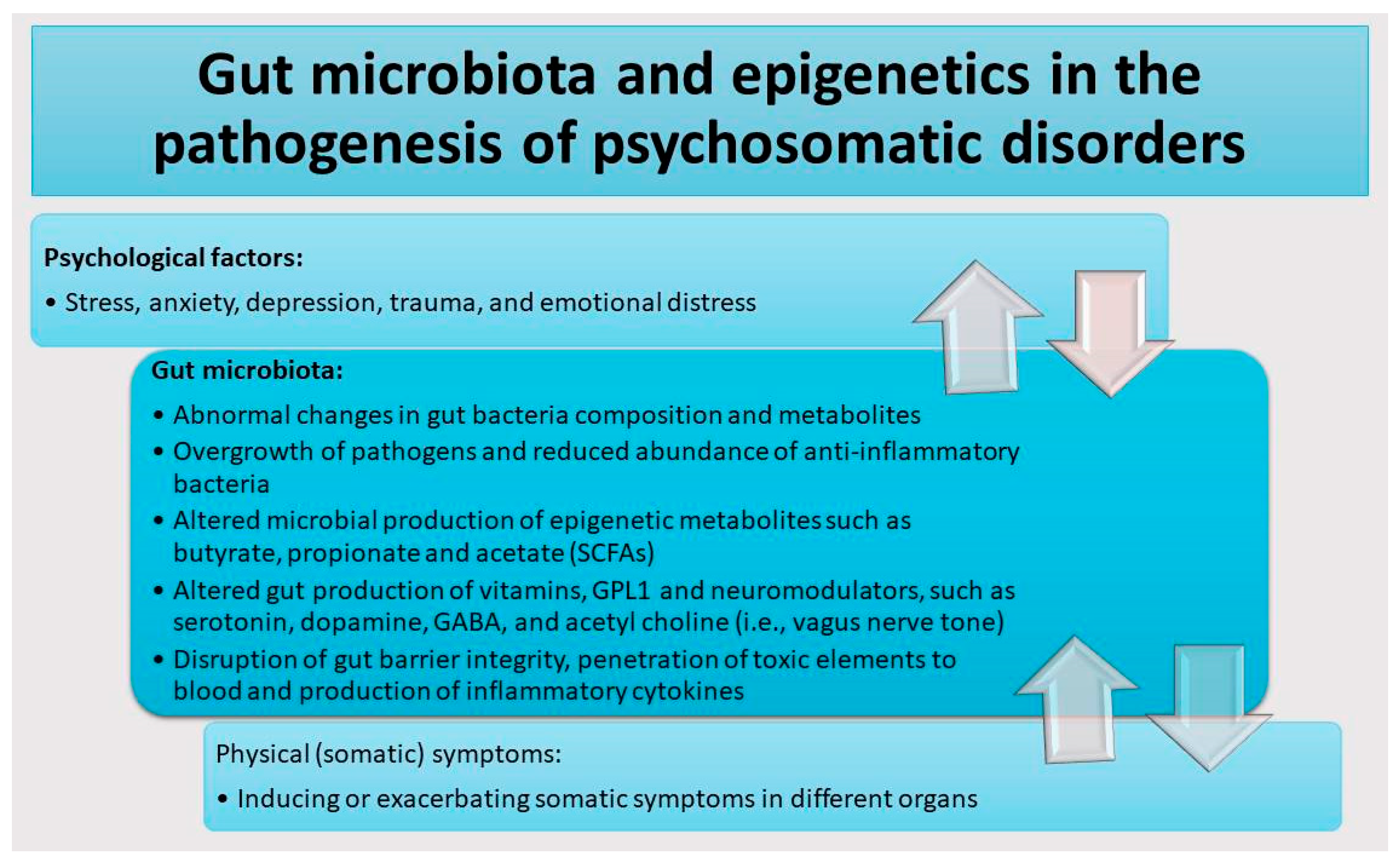 Cells 14 01959 g001 Cells 14 01959 g001