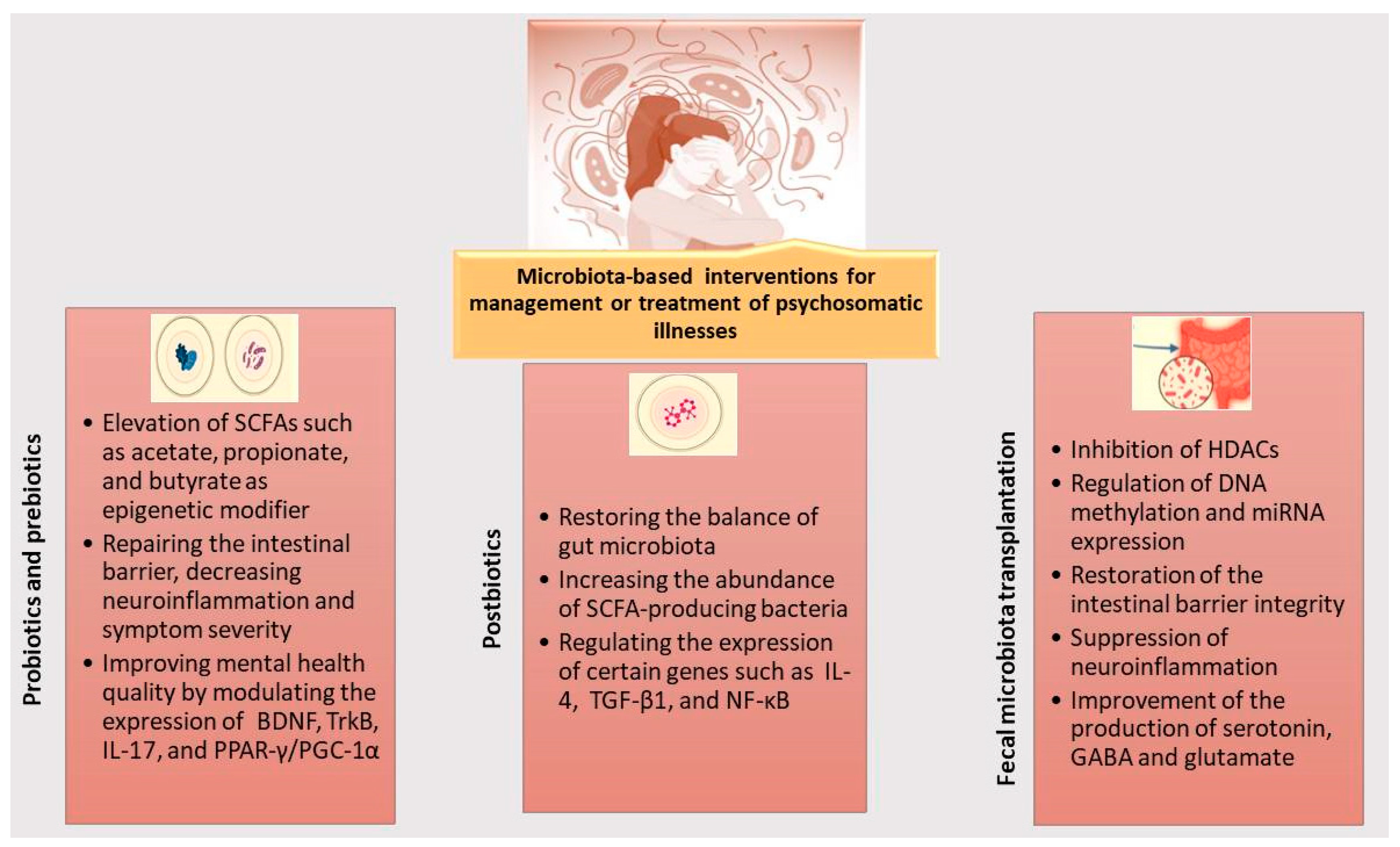 Cells 14 01959 g002 Cells 14 01959 g002