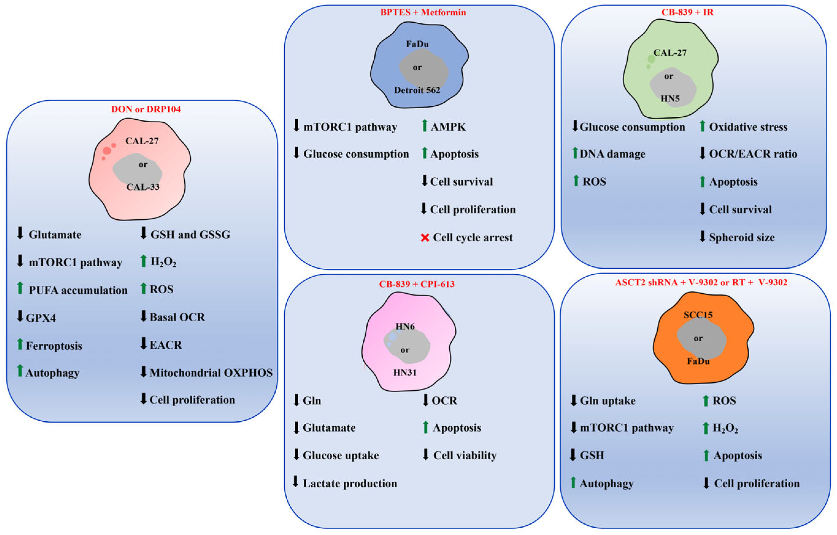 Cells 14 01962 g003 Cells 14 01962 g003