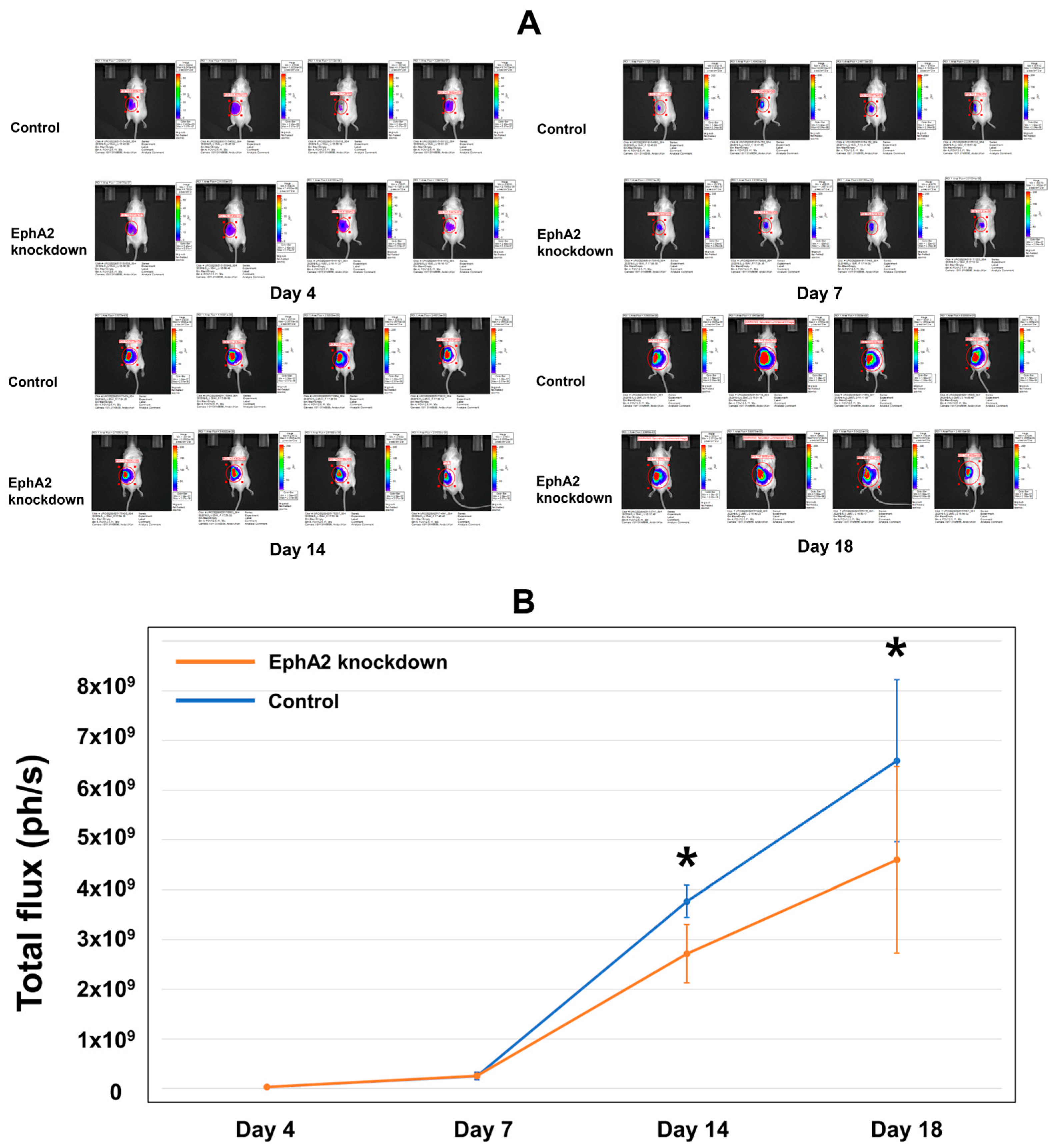 Cells 14 01981 g002 Cells 14 01981 g002