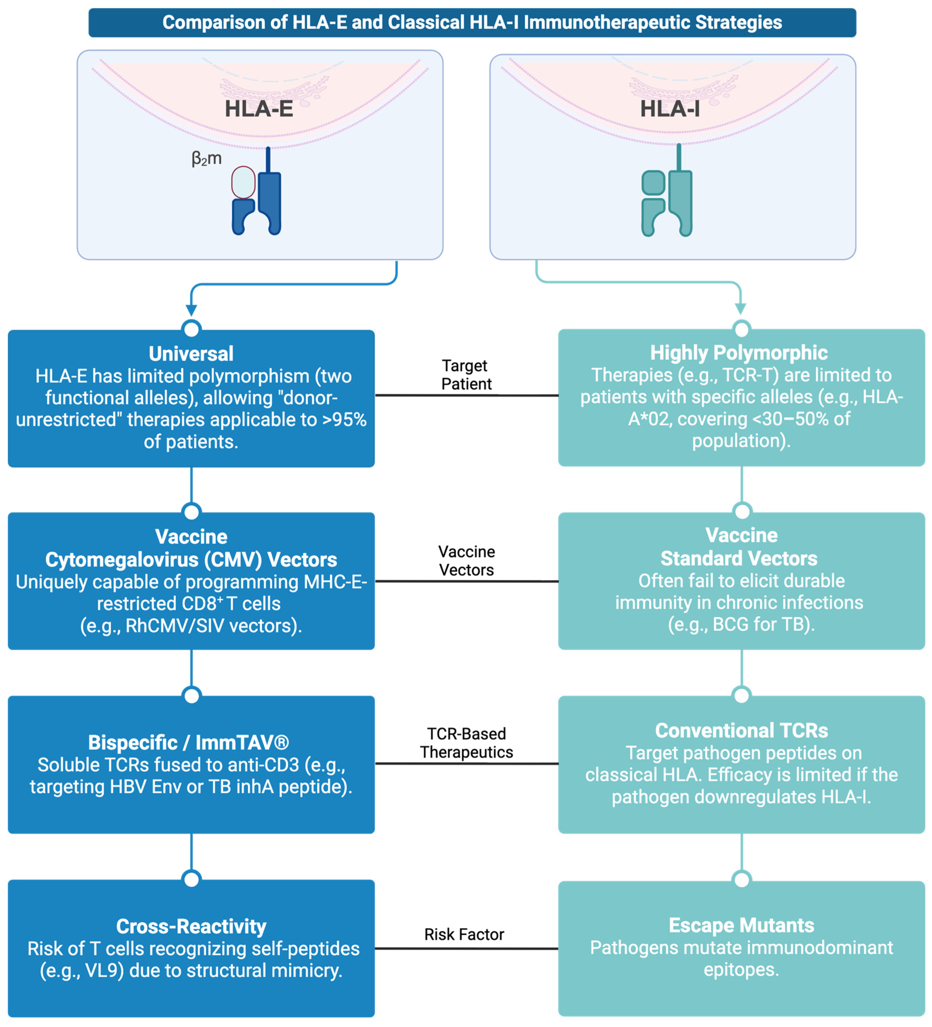 Cells 14 01983 g003 Cells 14 01983 g003