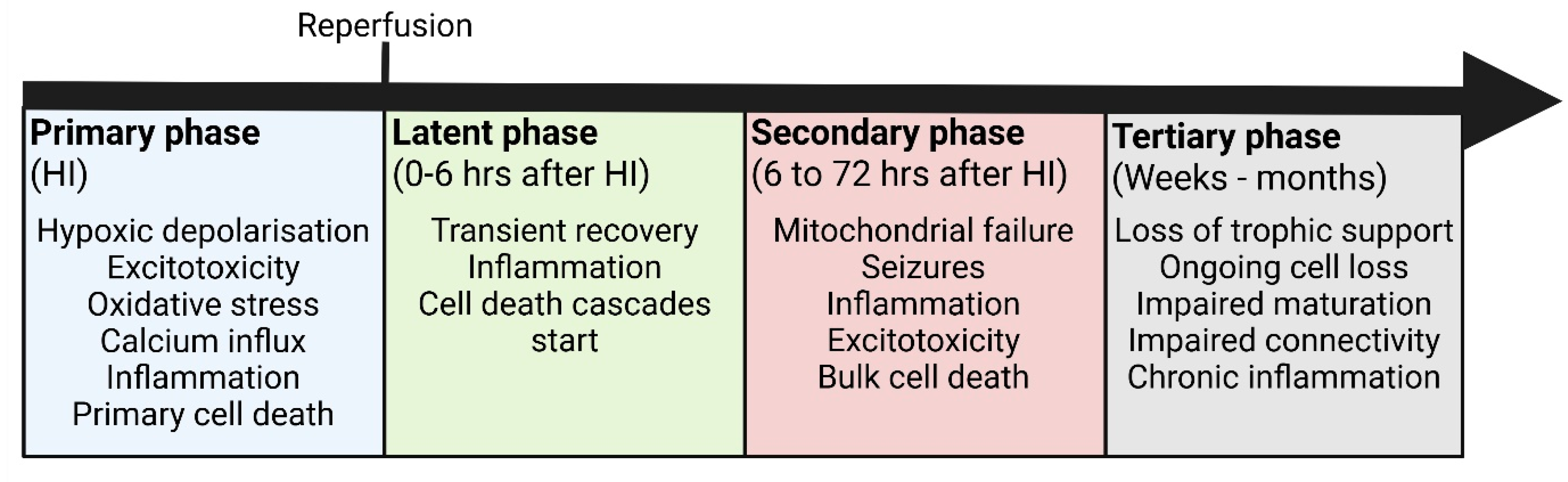 Cells 14 01984 g001 Cells 14 01984 g001