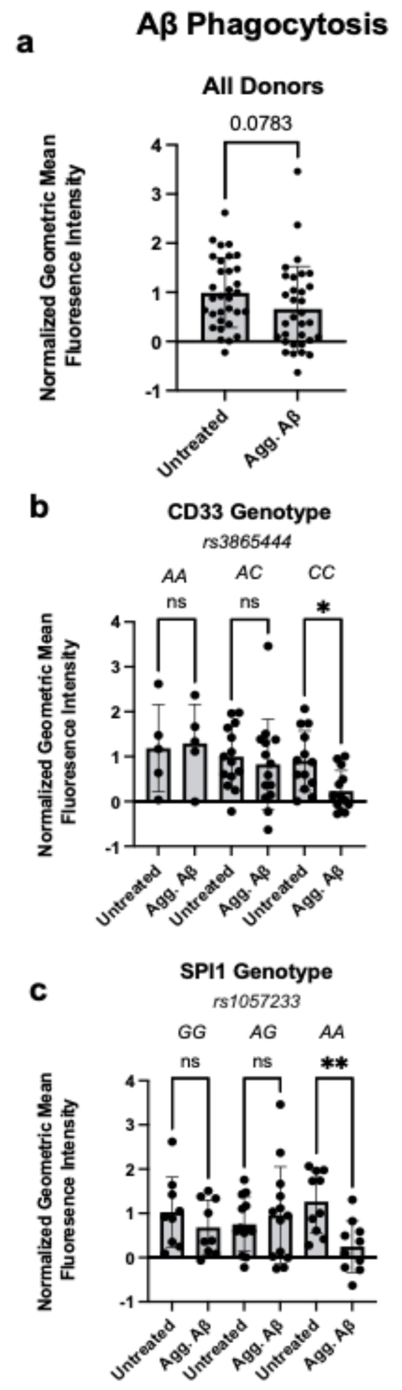 Cells 14 01990 g001 Cells 14 01990 g001