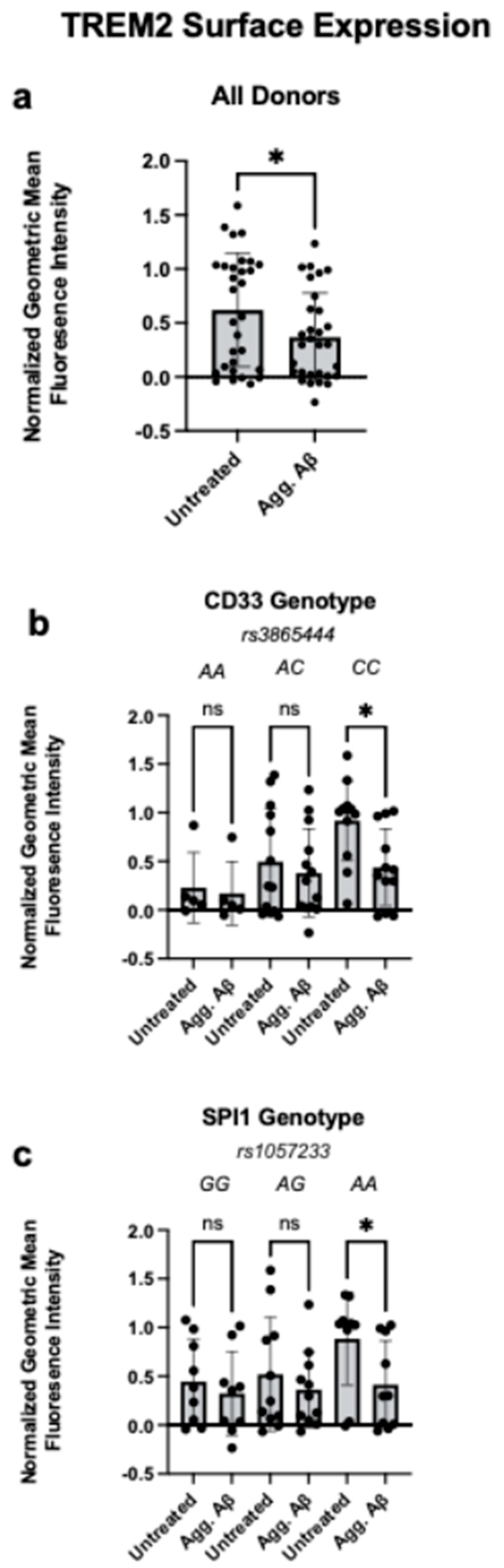Cells 14 01990 g002 Cells 14 01990 g002