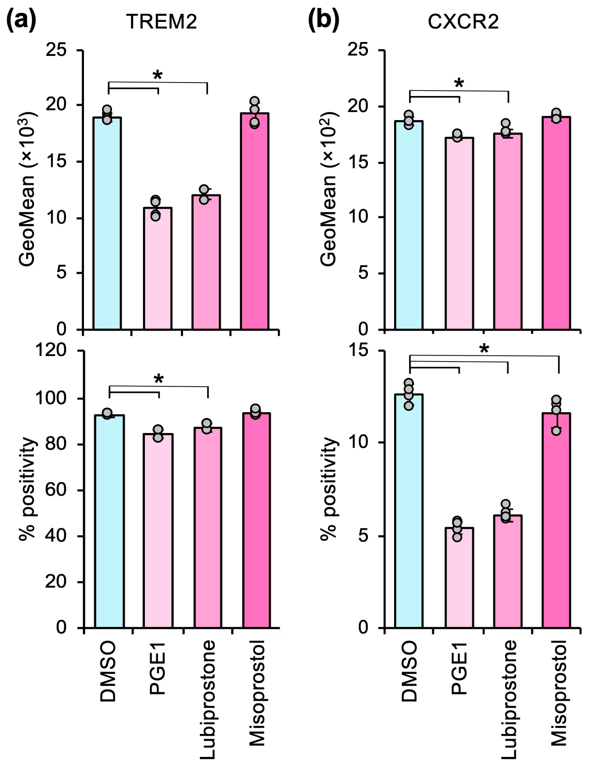 Cells 14 01992 g004 Cells 14 01992 g004
