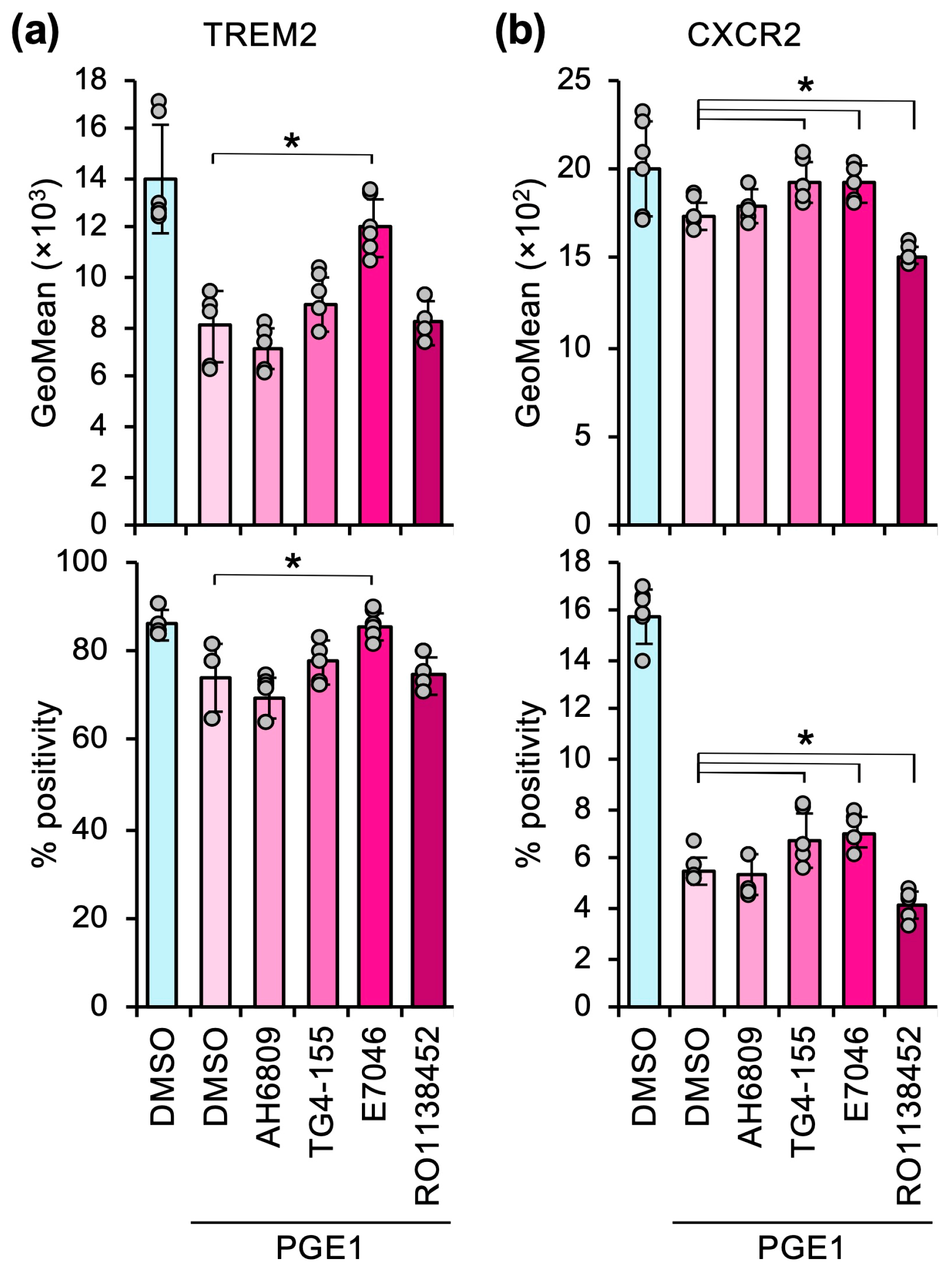 Cells 14 01992 g005 Cells 14 01992 g005